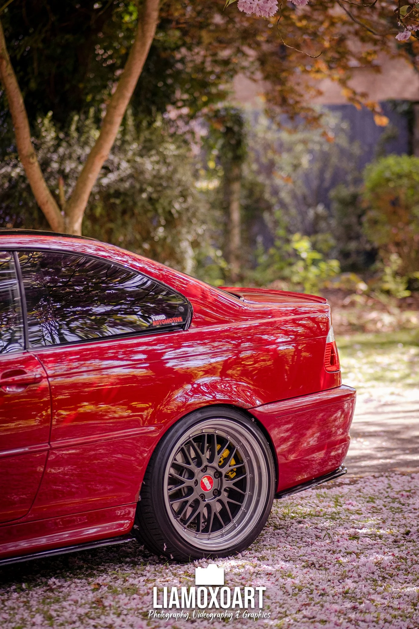 Close-up of the rear side of a red sports car with aftermarket wheels parked on a leafy street with pink flowers on the ground, trees, and a background of trees and a building.