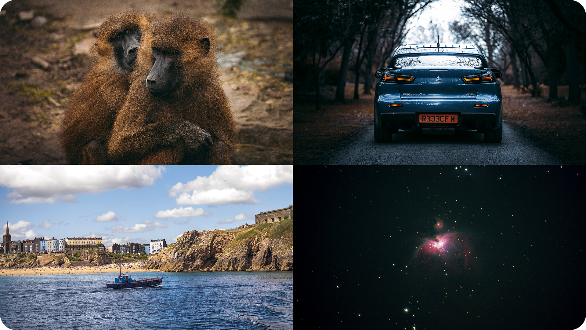 Top left: Two baboons hugging; top right: Blue car on a forest road at dusk; bottom left: Coastal town with a boat on the water; bottom right: Space telescope image of a nebula and stars.