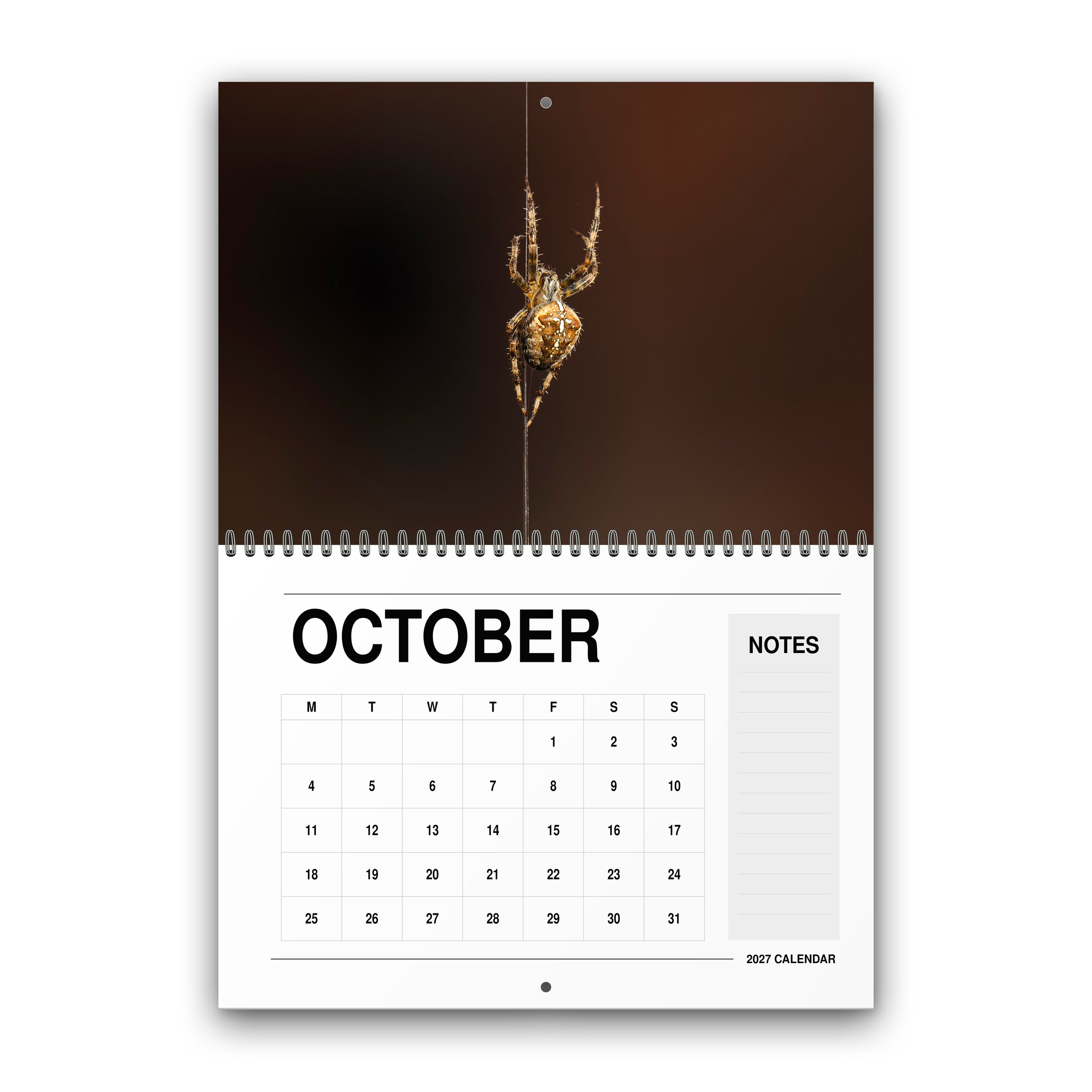 Wildlife Calendar - 2027 - October - Month Preview.jpg