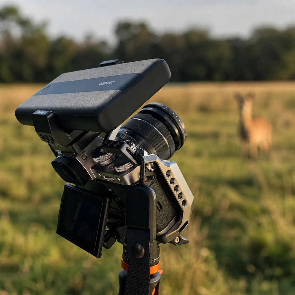 Camera on tripod capturing a photo of a deer in a field with trees in the background.