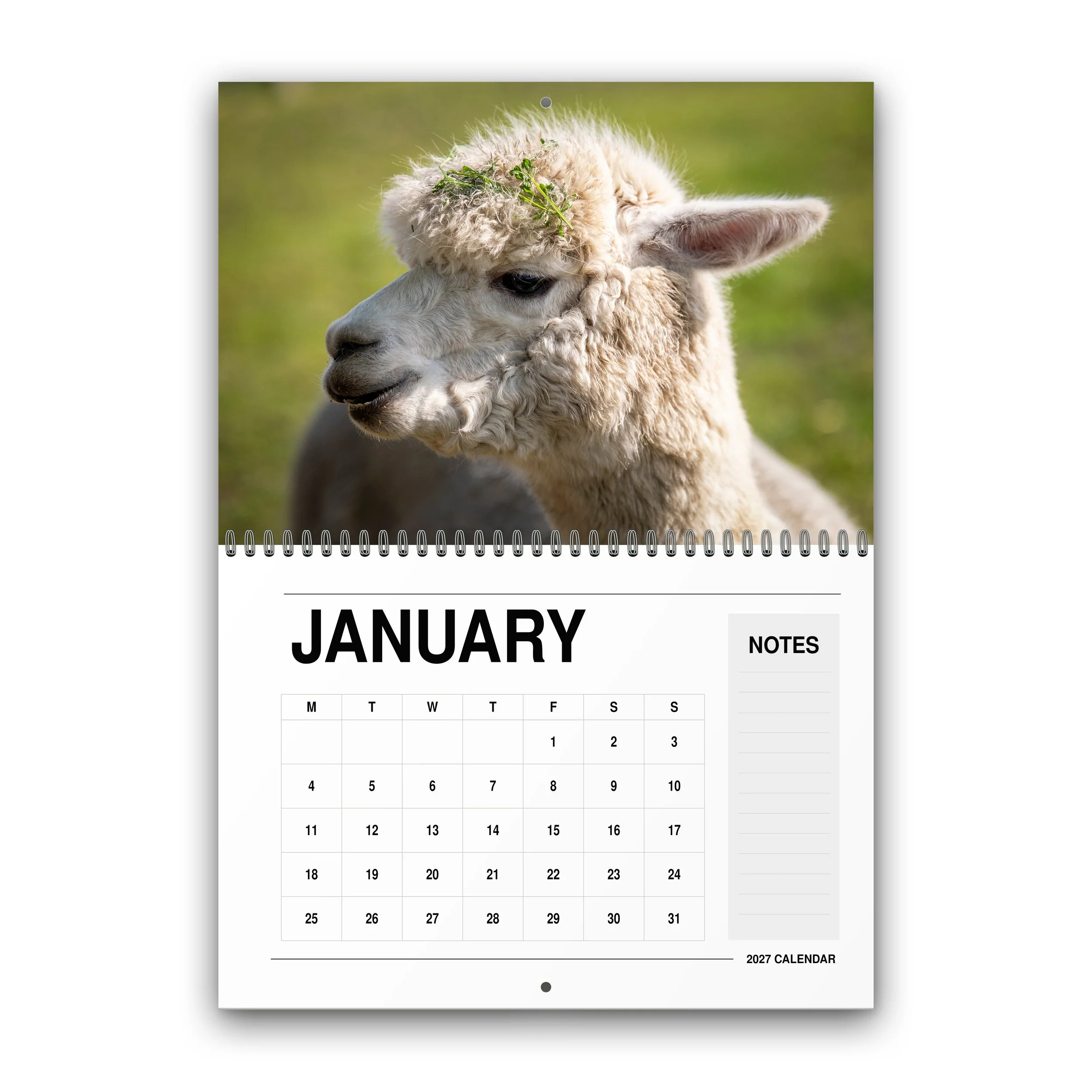 Wildlife Calendar - 2027 - January - Month Preview.jpg