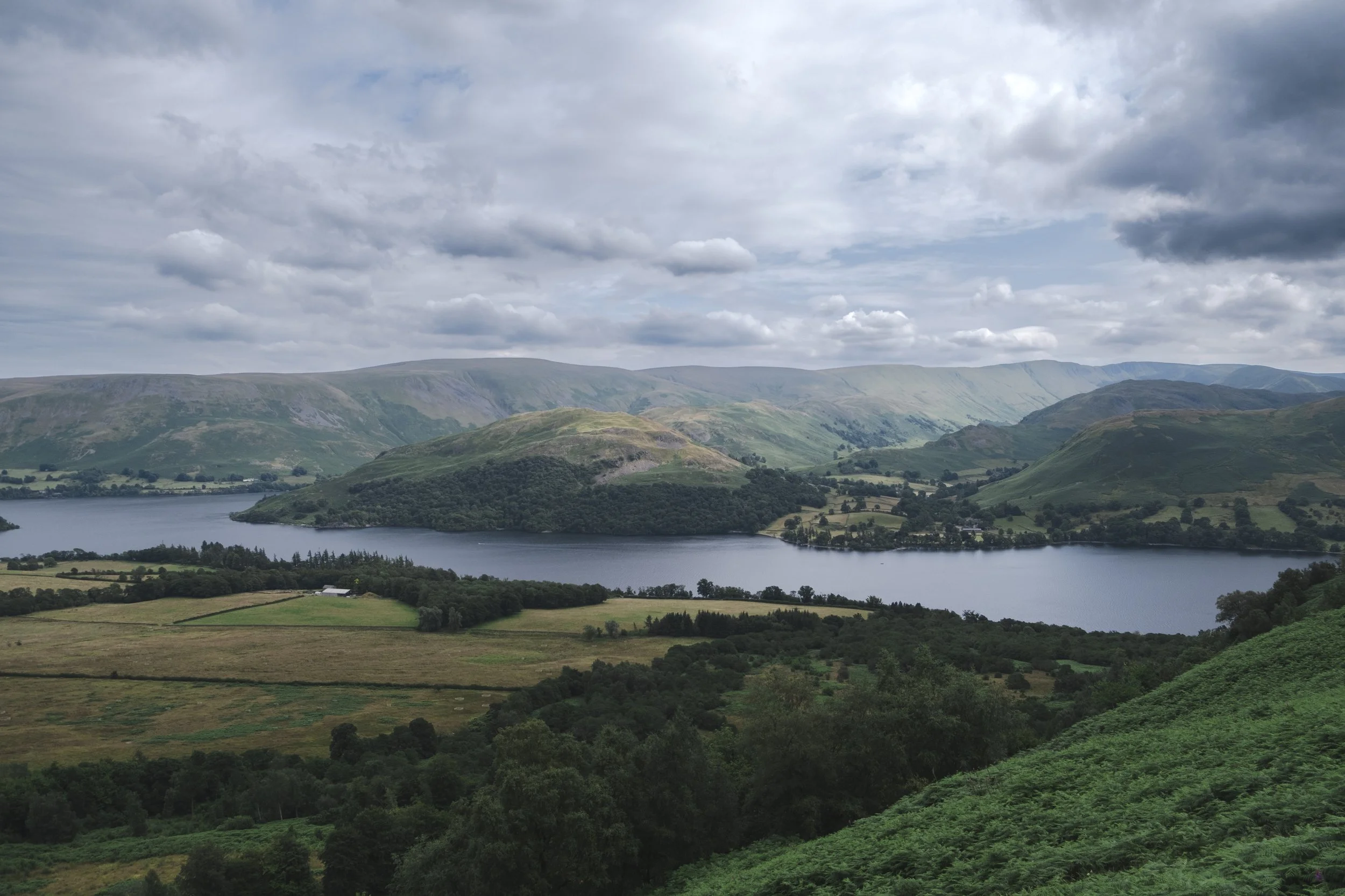 DSCF0599.jpg