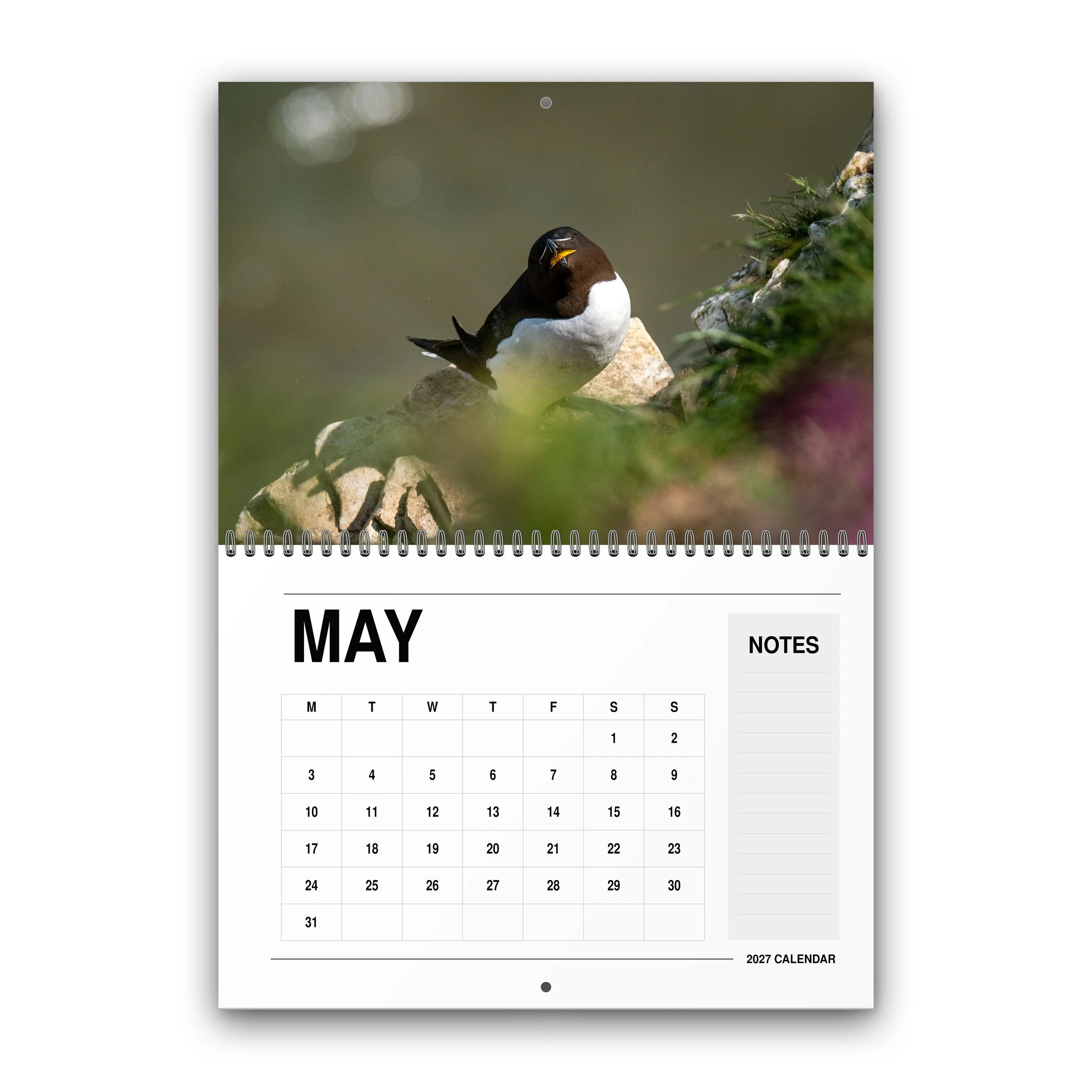 Wildlife Calendar - 2027 - May - Month Preview.jpg