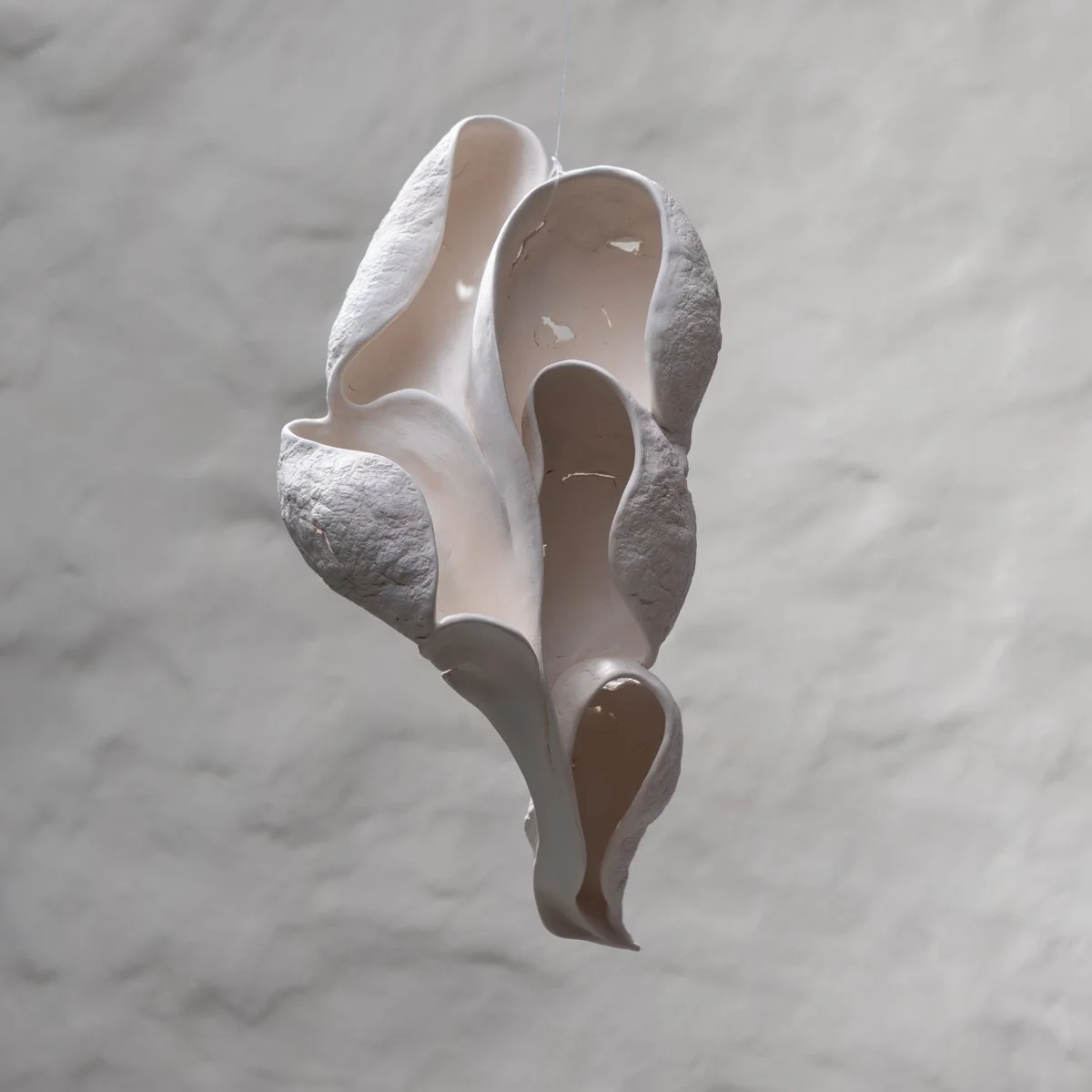 Fotos: Pedro Caetano