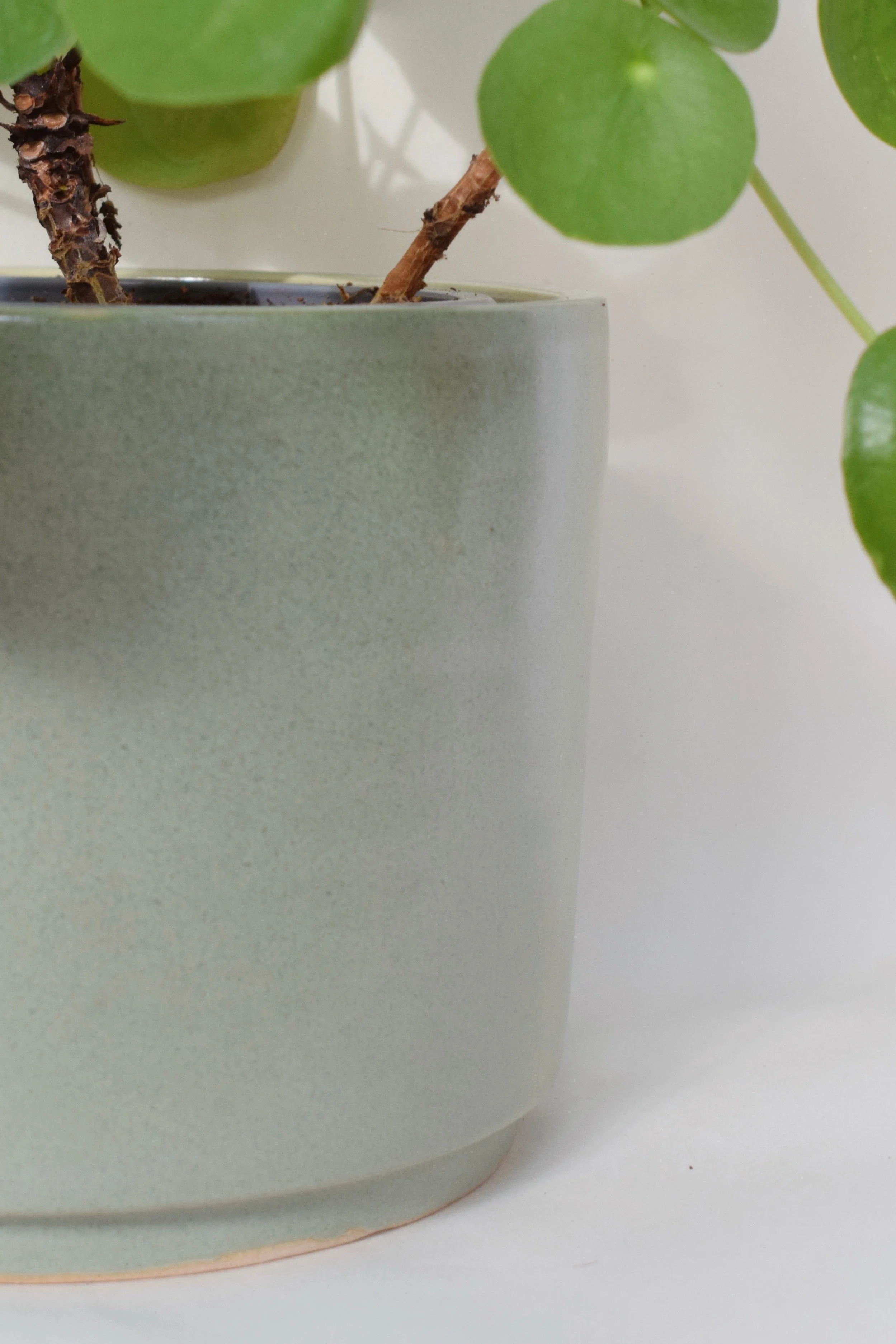 J Lucas Pottery_sage green large plant pot_closeup.jpeg