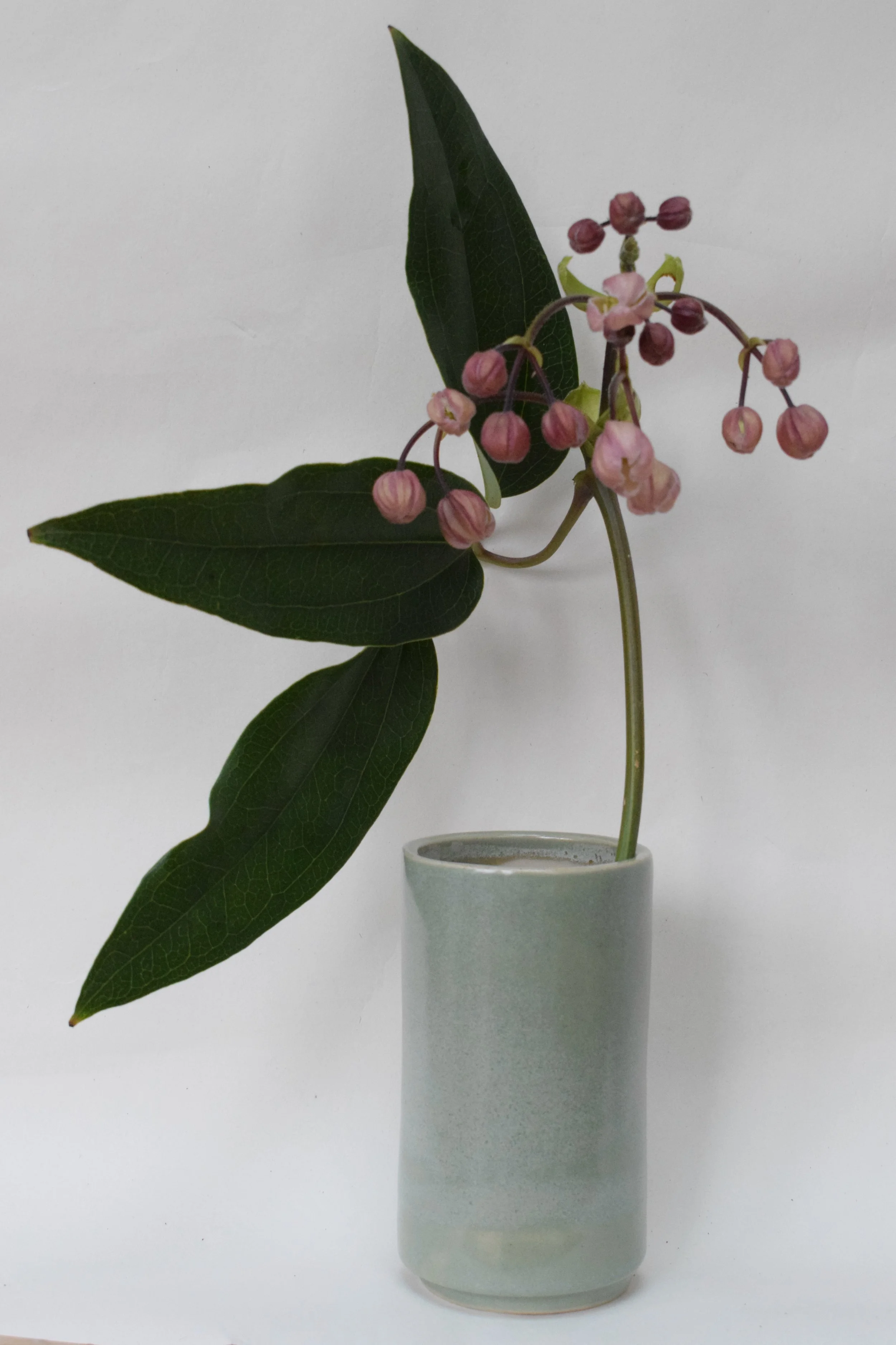 J Lucas Pottery_green small vase_clematis.jpeg