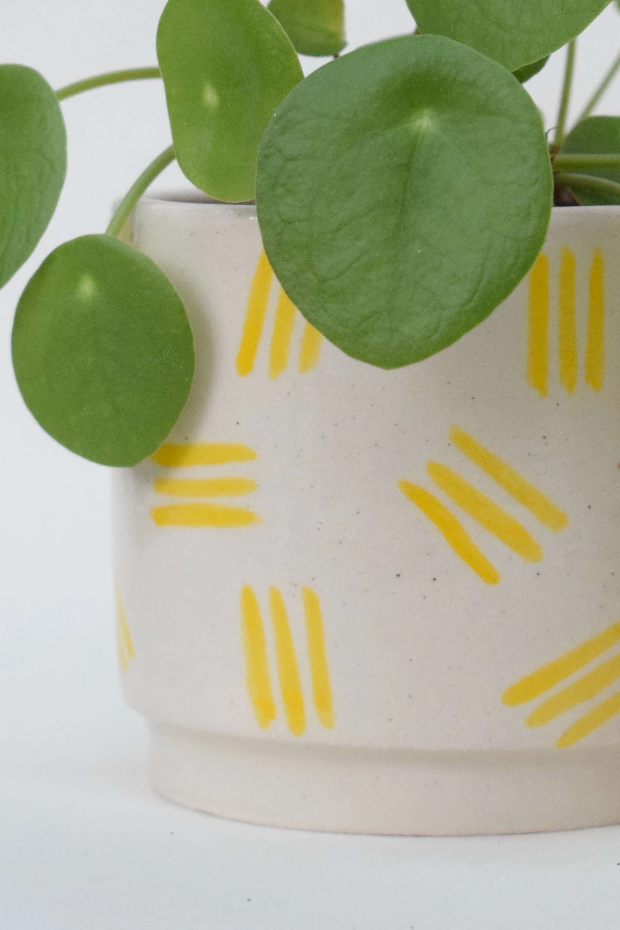 J Lucas Pottery_yellow dash_mini plant pot_closeup.jpeg