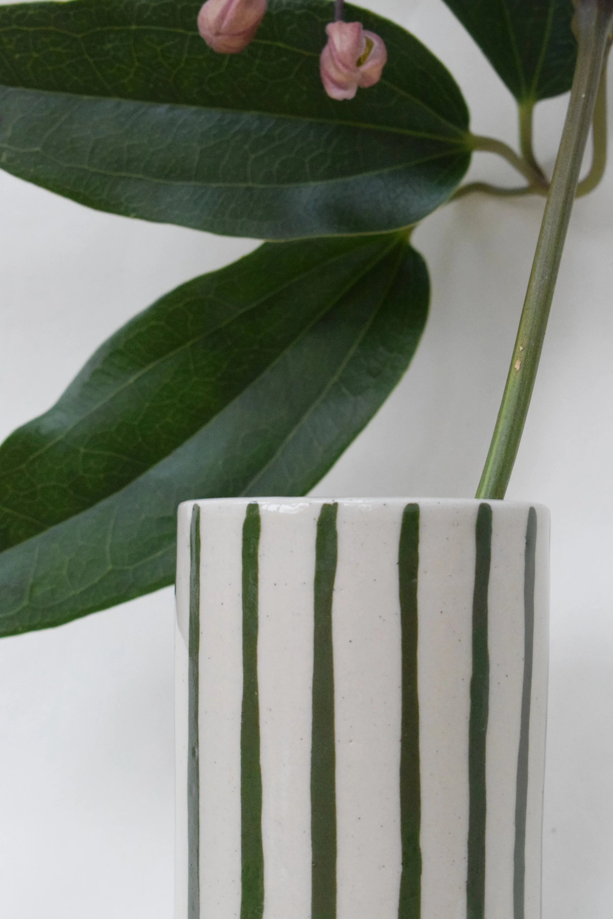 J Lucas Pottery_green stripe vase_closeup.jpeg