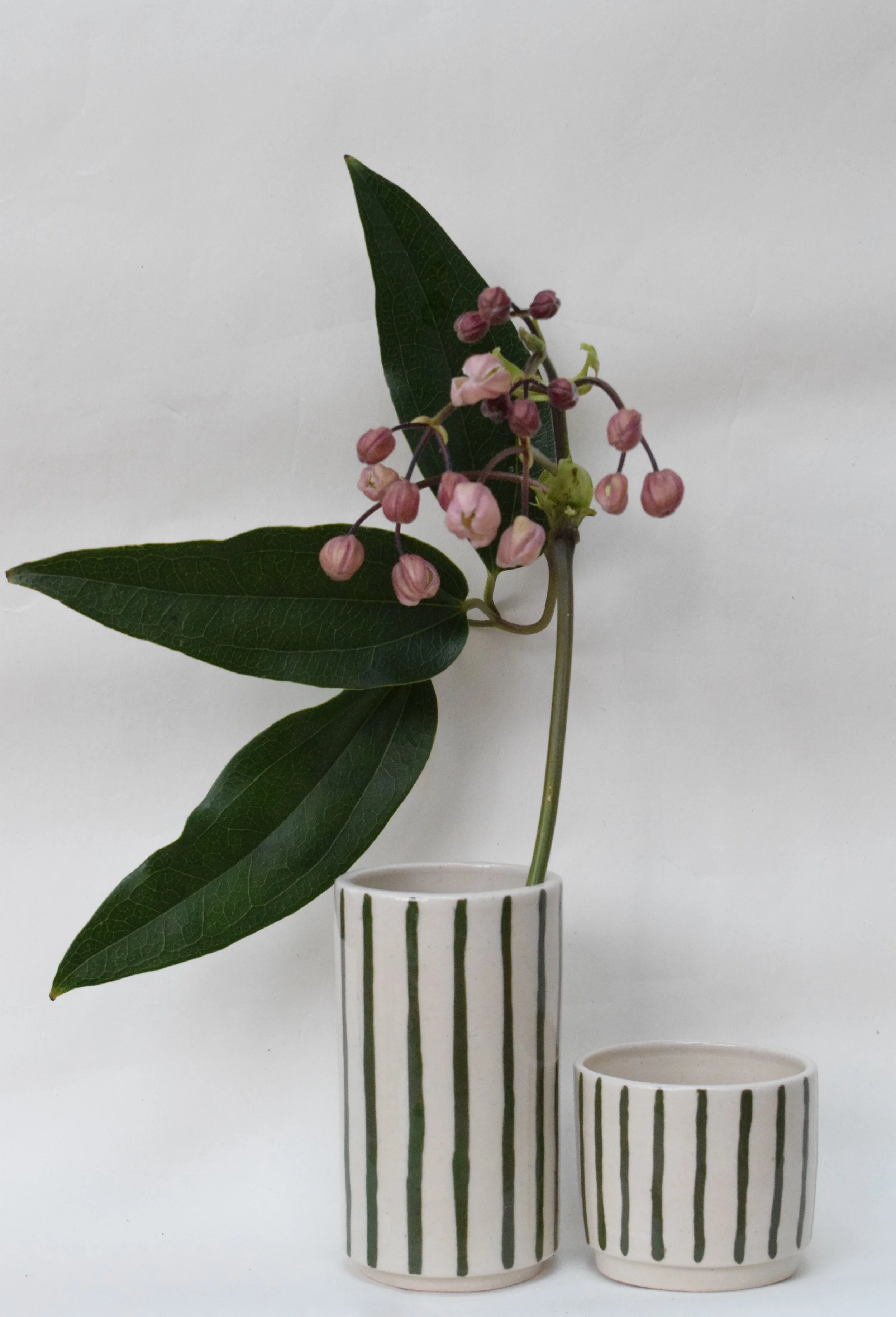 J Lucas Pottery_green stripe small vase and mini plant pot.jpeg