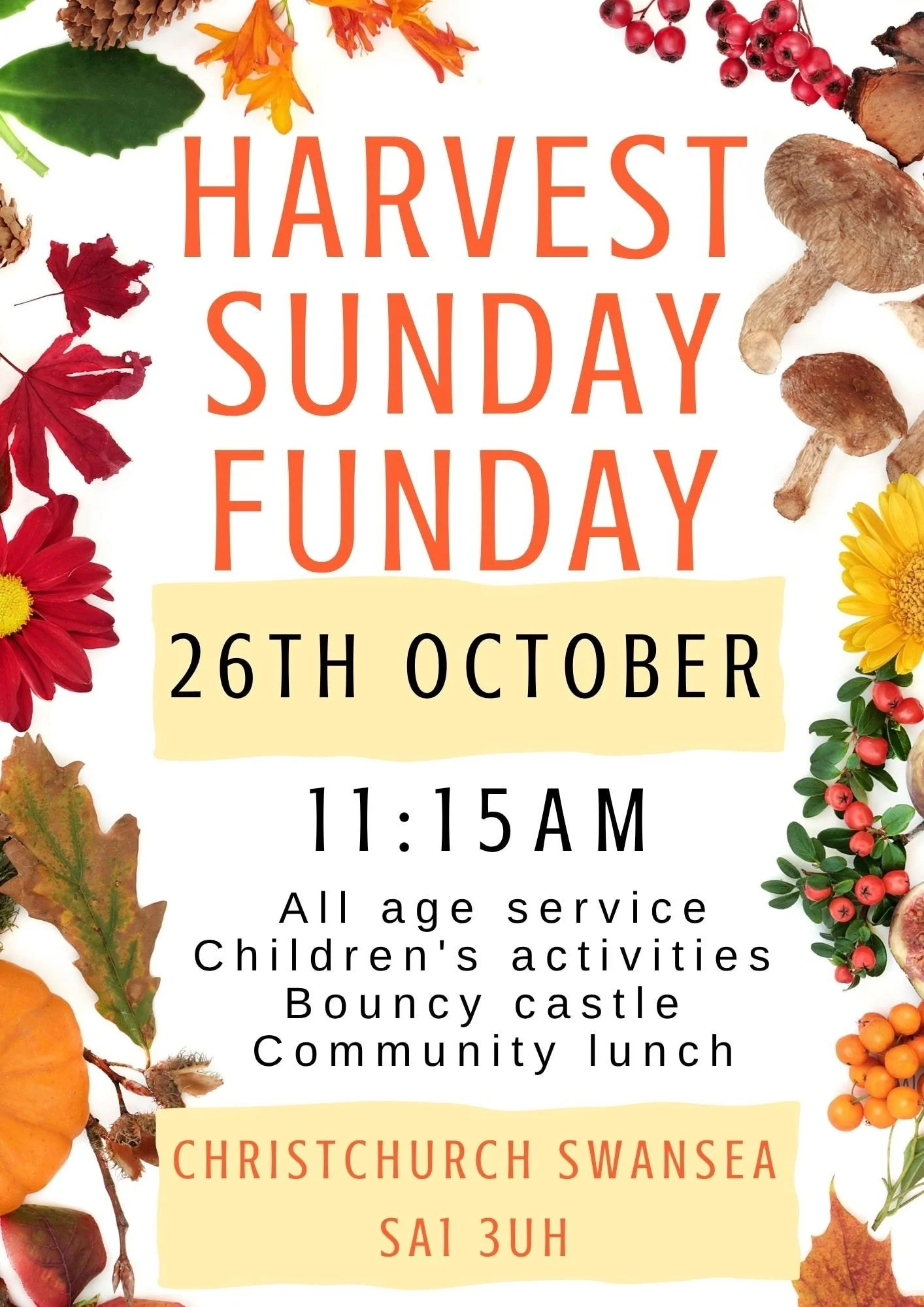 Harvest Funday (Christchurch Swansea)