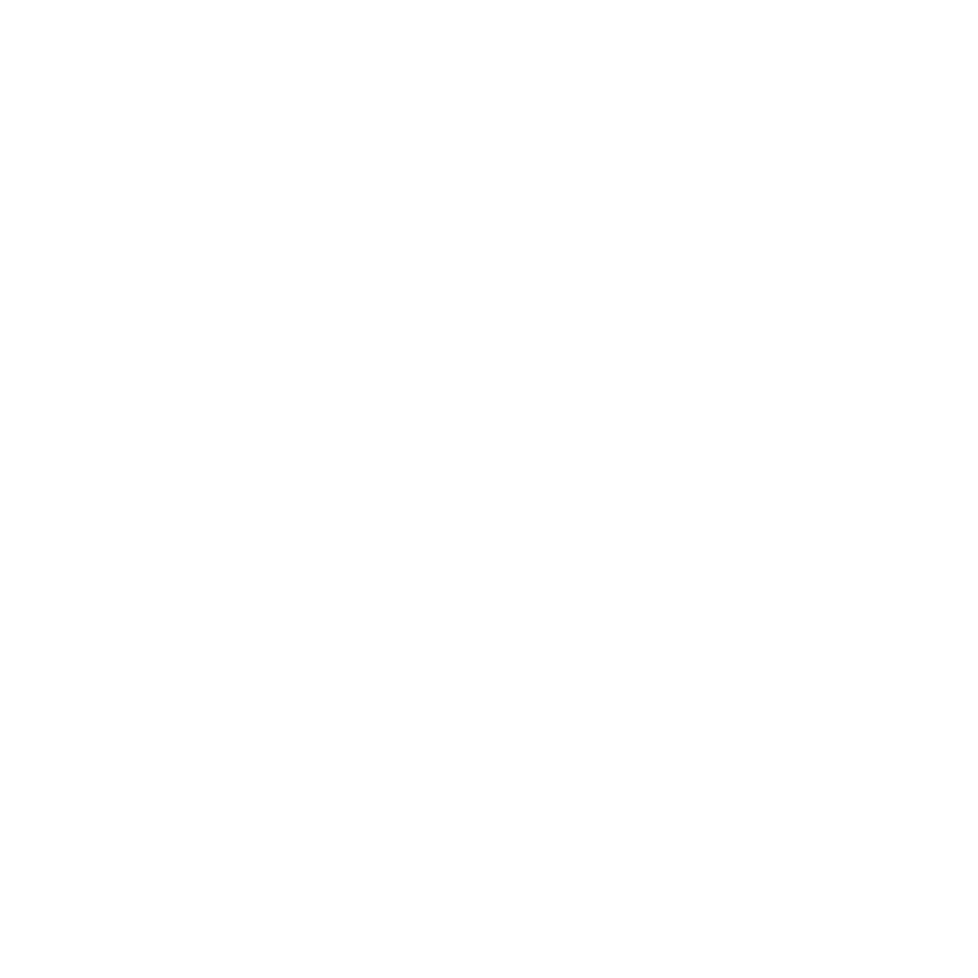 Logotipo de la empresa RACES Import - Export Ltda. en fondo negro.
