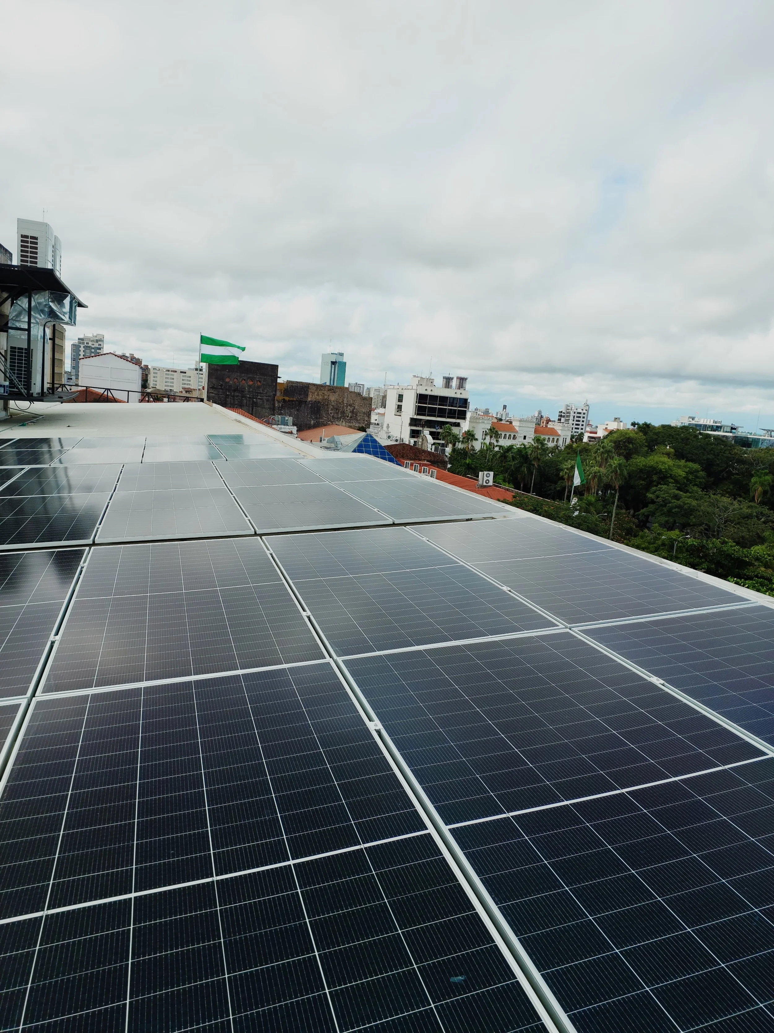 Imagen de WhatsApp 2025-02-28 a las 17.21.04_3ff3a63f.jpg