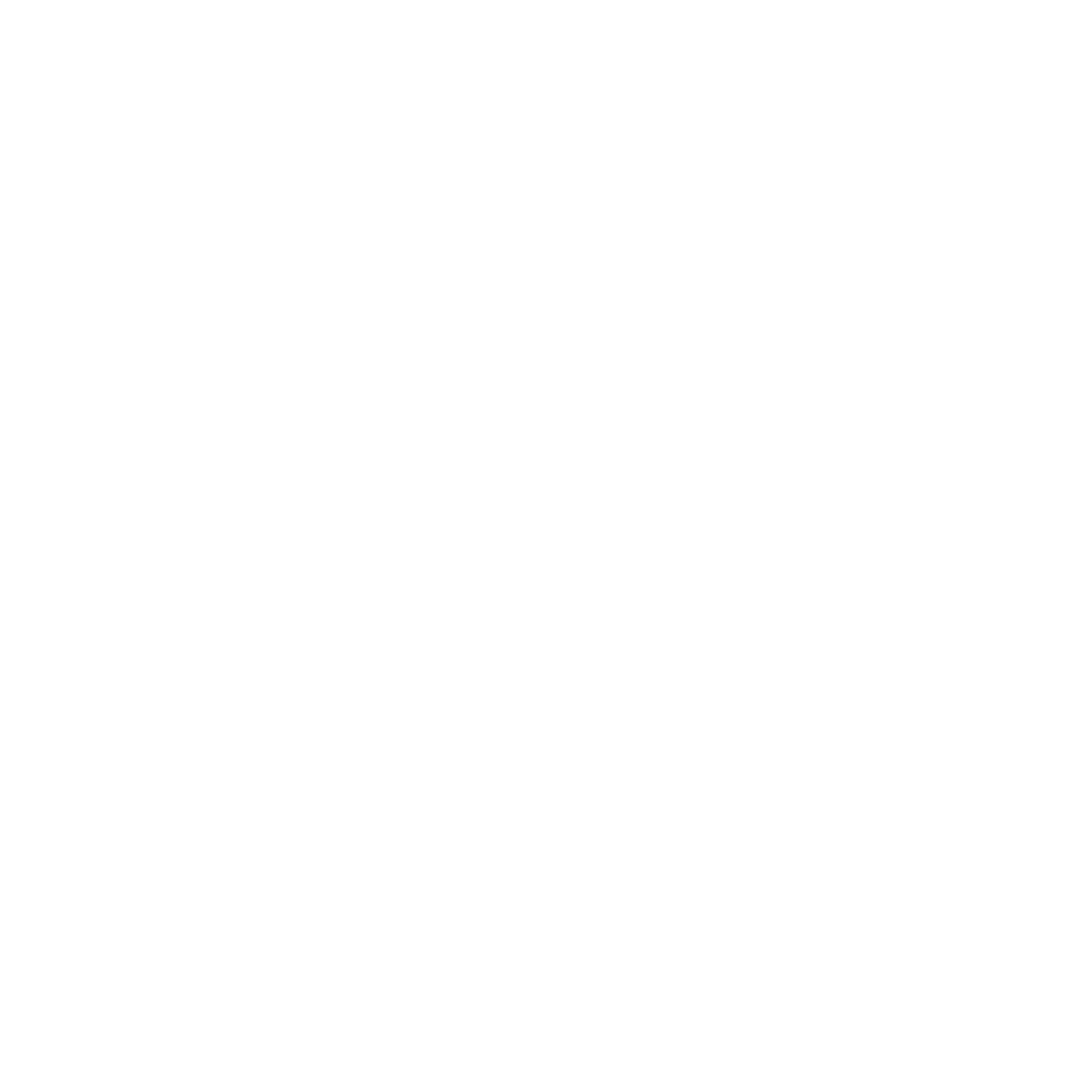Logotipo en color blanco con la palabra 'Delizia' en letras cursivas, rodeada por dos arcos en forma de ovalo.
