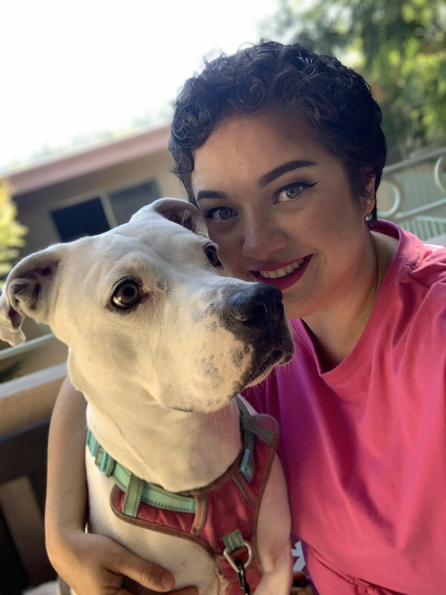 What I Feed My Pitbull & Why