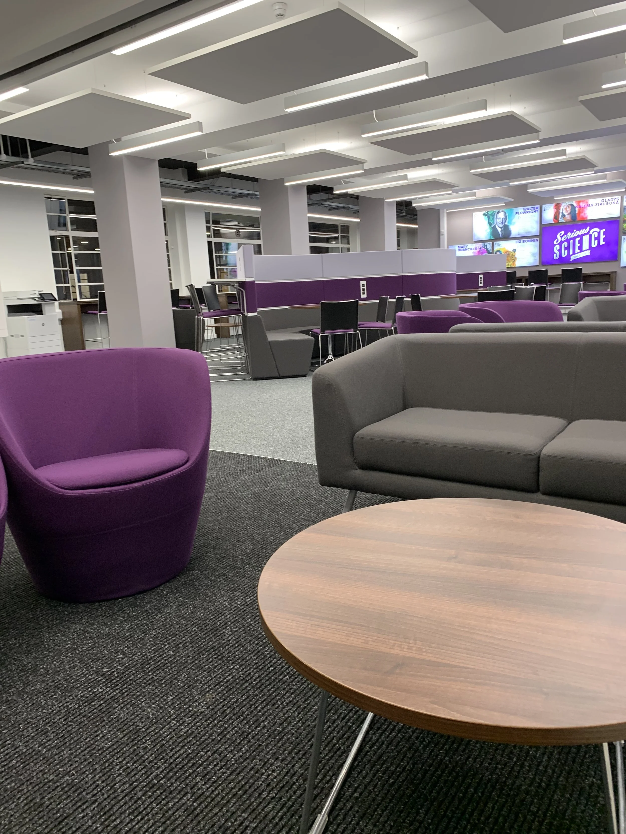 Navigating the university sensory environment as an autistic student