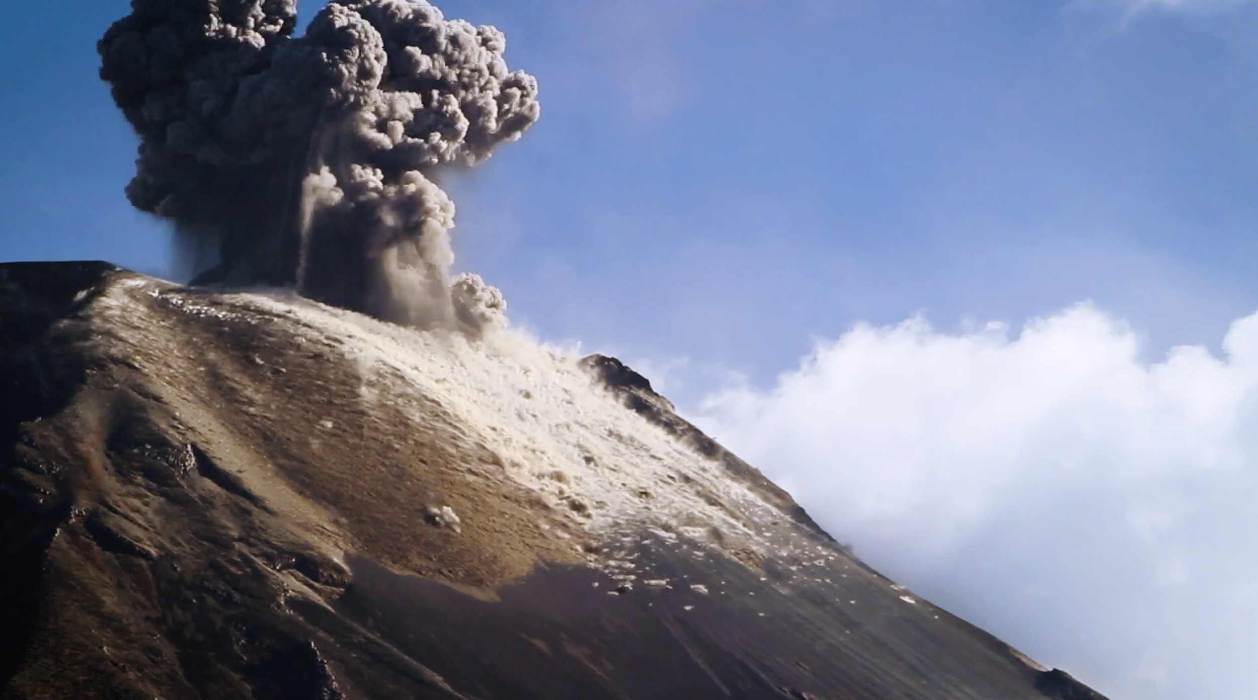 Screenshot 2026-01-31 at 17.47.27.png