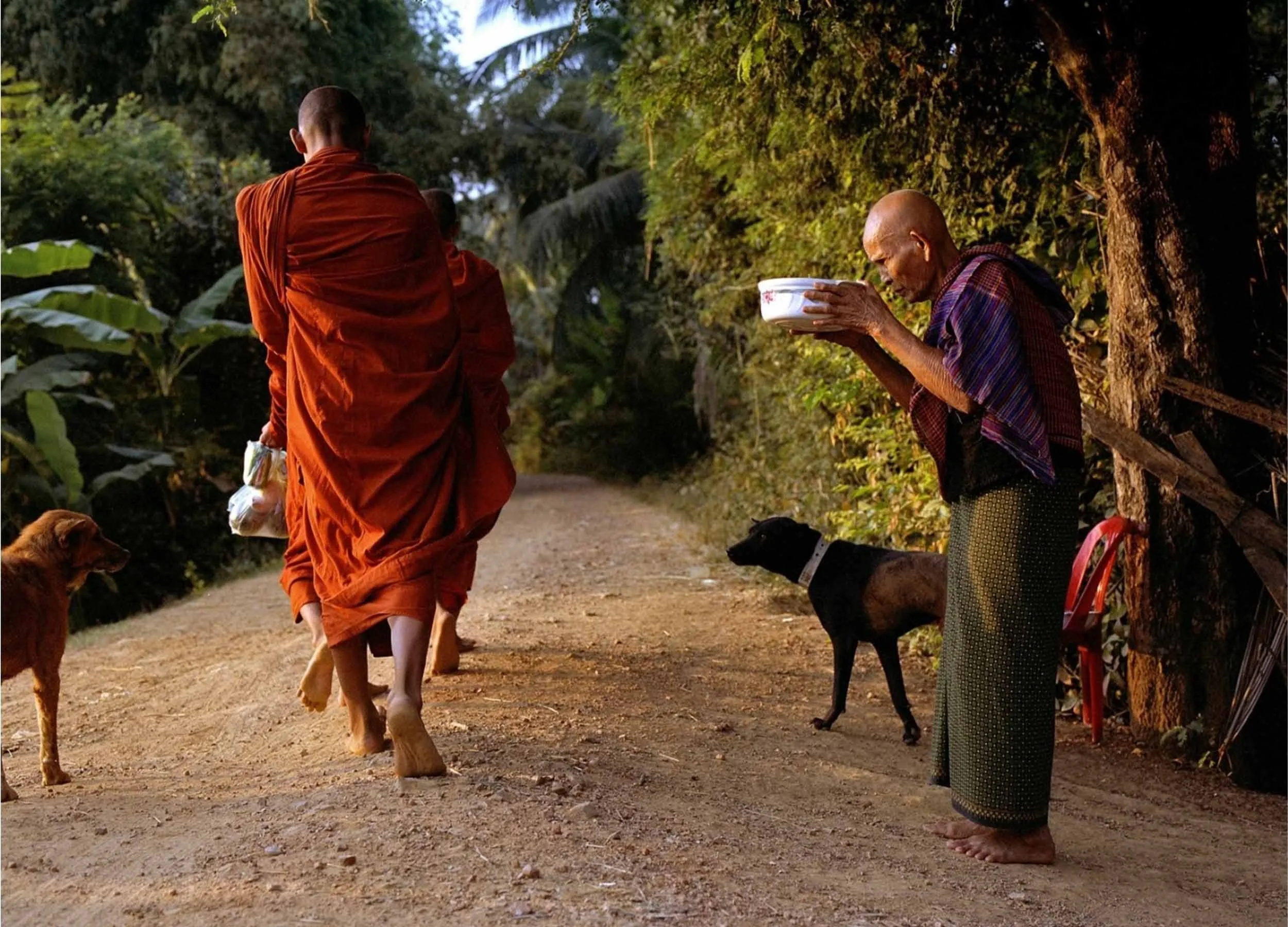 What makes the monk so special for Cambodian society