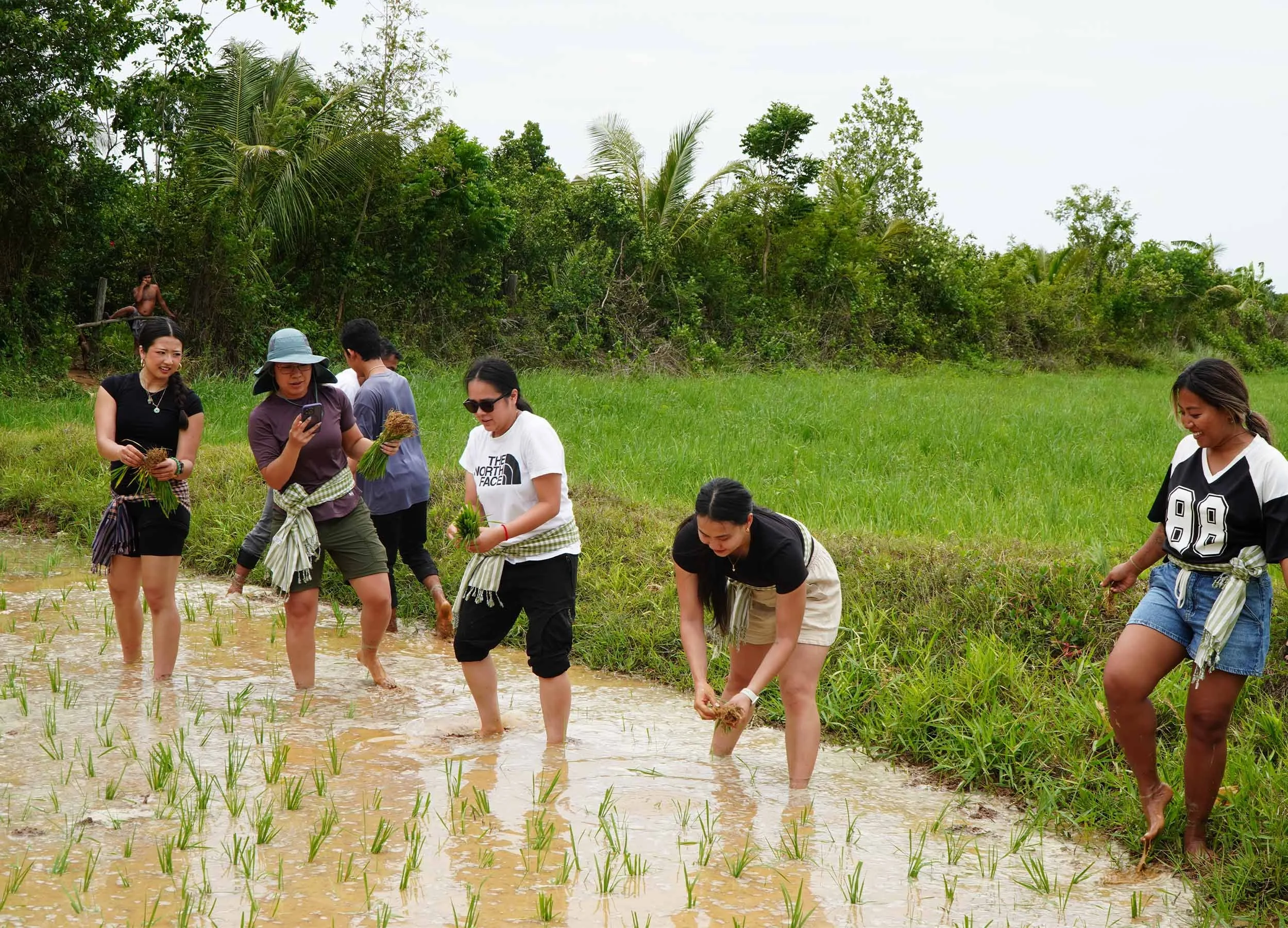 Our guest participating in rice farming session with our local partner