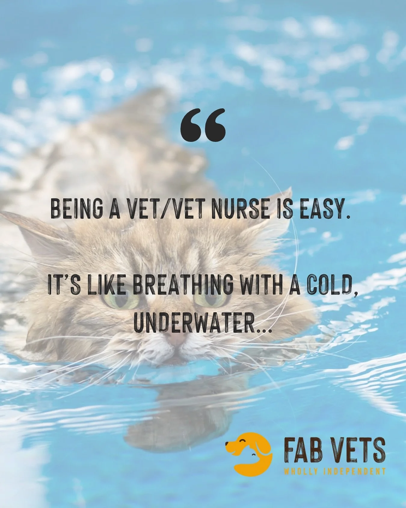 Being a vet is easy&hellip;. 🤔 
We wouldn&rsquo;t have it any other way 💛

#petfunny #vet #funnymeme #beingavet #vetnurse #vetlife #juggling