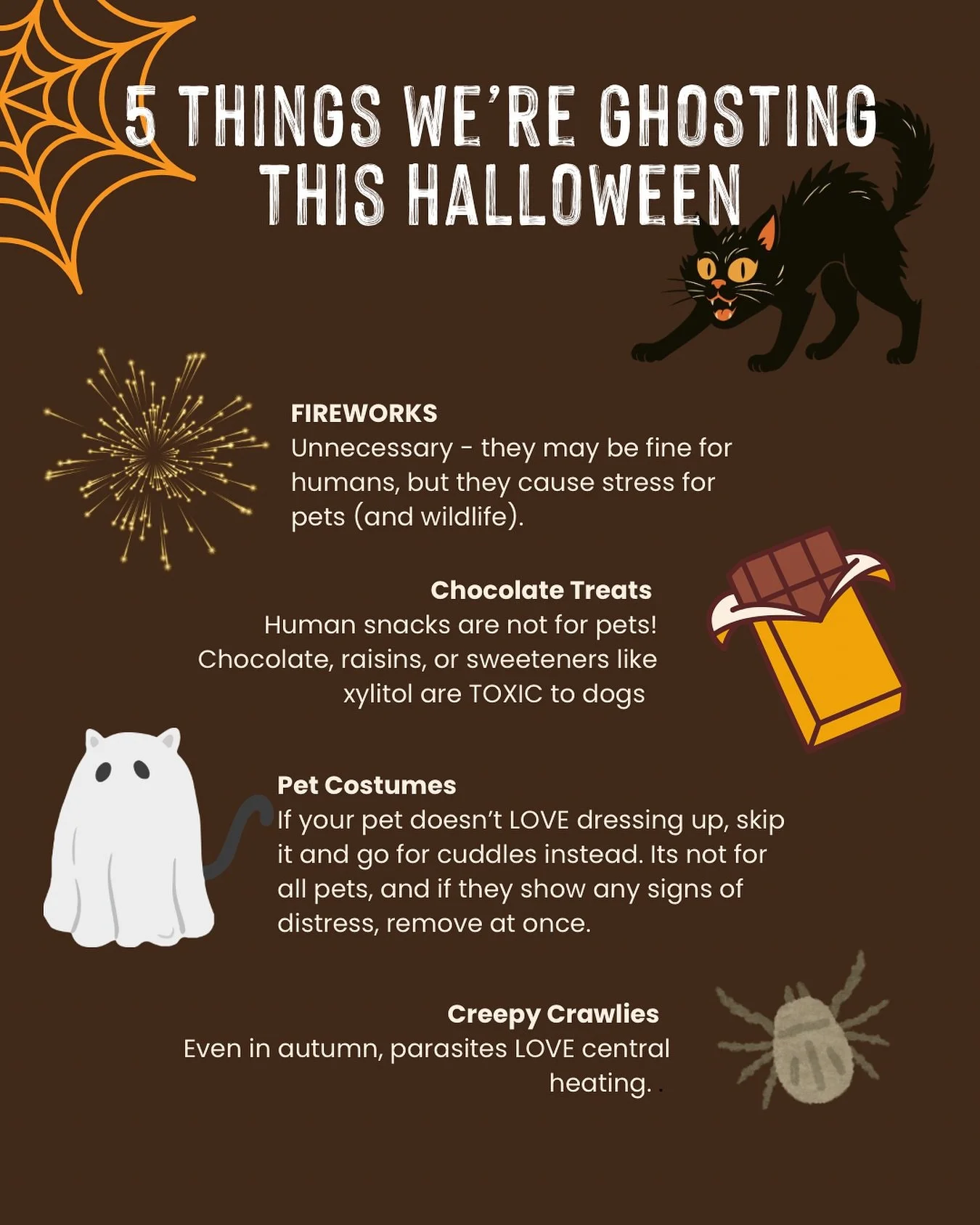 🎃👻 5 Things We&rsquo;re Ghosting This Halloween 👻🎃

Because while we love spooky season, there are a few things that deserve to disappear into the night&hellip;

💥 Fireworks &mdash; fine for humans, frightening for pets (and wildlife)
🍫 Chocola