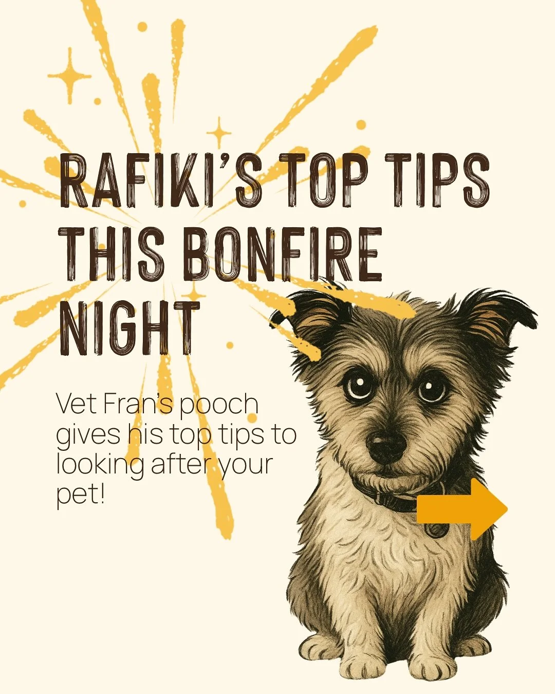 🎆🐾 Rafiki&rsquo;s Top Tips for Firework Season! 🐾

Hi, I&rsquo;m Rafiki: Chief Barking Officer and proud pooch of our very own Fran! 💛

Firework season can be ruff for us pets, so I&rsquo;m here to share my top tips to help keep tails wagging and
