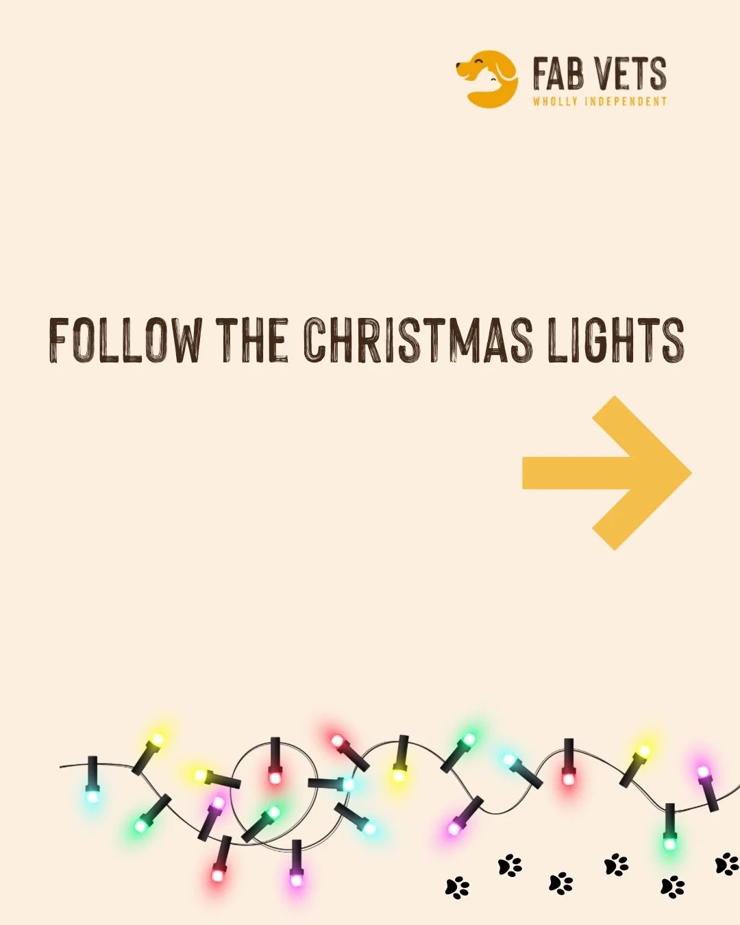 From one pet lover to another&hellip; Merry Christmas 🎄🐾

Follow the Christmas lights and you&rsquo;ll always end up where it&rsquo;s warm, safe and full of love &mdash; with the dog, the cat and even the bunny all snuggled up together ✨

This one&