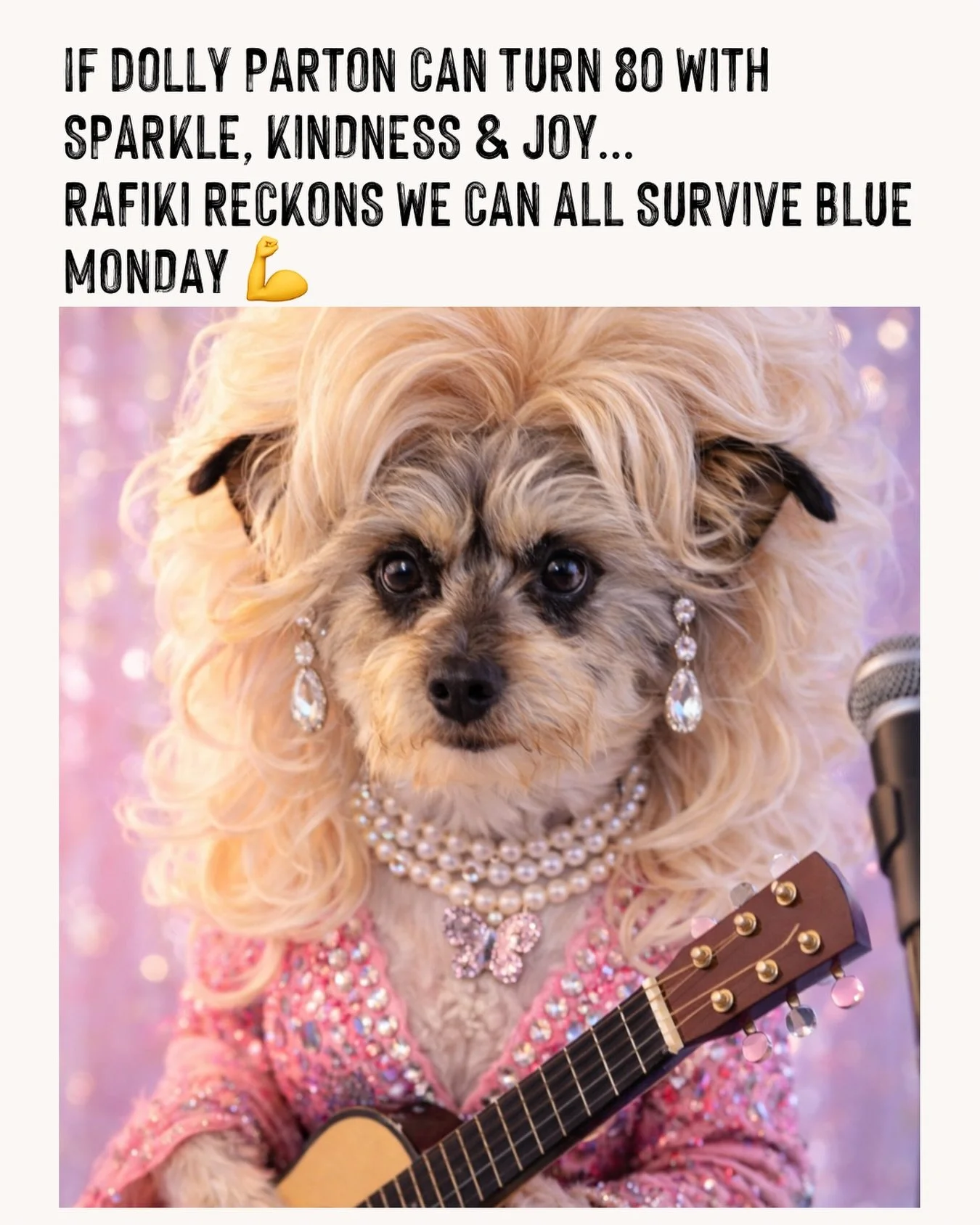 If Dolly Parton can turn 80 with sparkle, kindness and joy&hellip;

Frans dog Rafiki reckons we can all survive Blue Monday ✨

Today we choose big smiles, good energy and a little extra fabulous.

Be more Dolly 💖