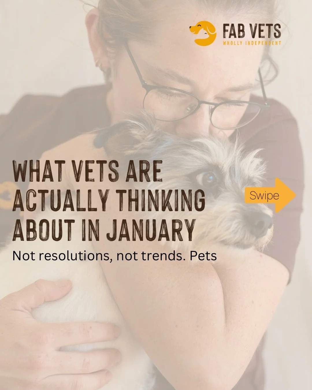 January is a quieter month on the surface, but clinically, it&rsquo;s one of the most important times of the year.

It&rsquo;s when routines settle, distractions fade, and small changes finally become noticeable. As vets, we&rsquo;re not looking for 