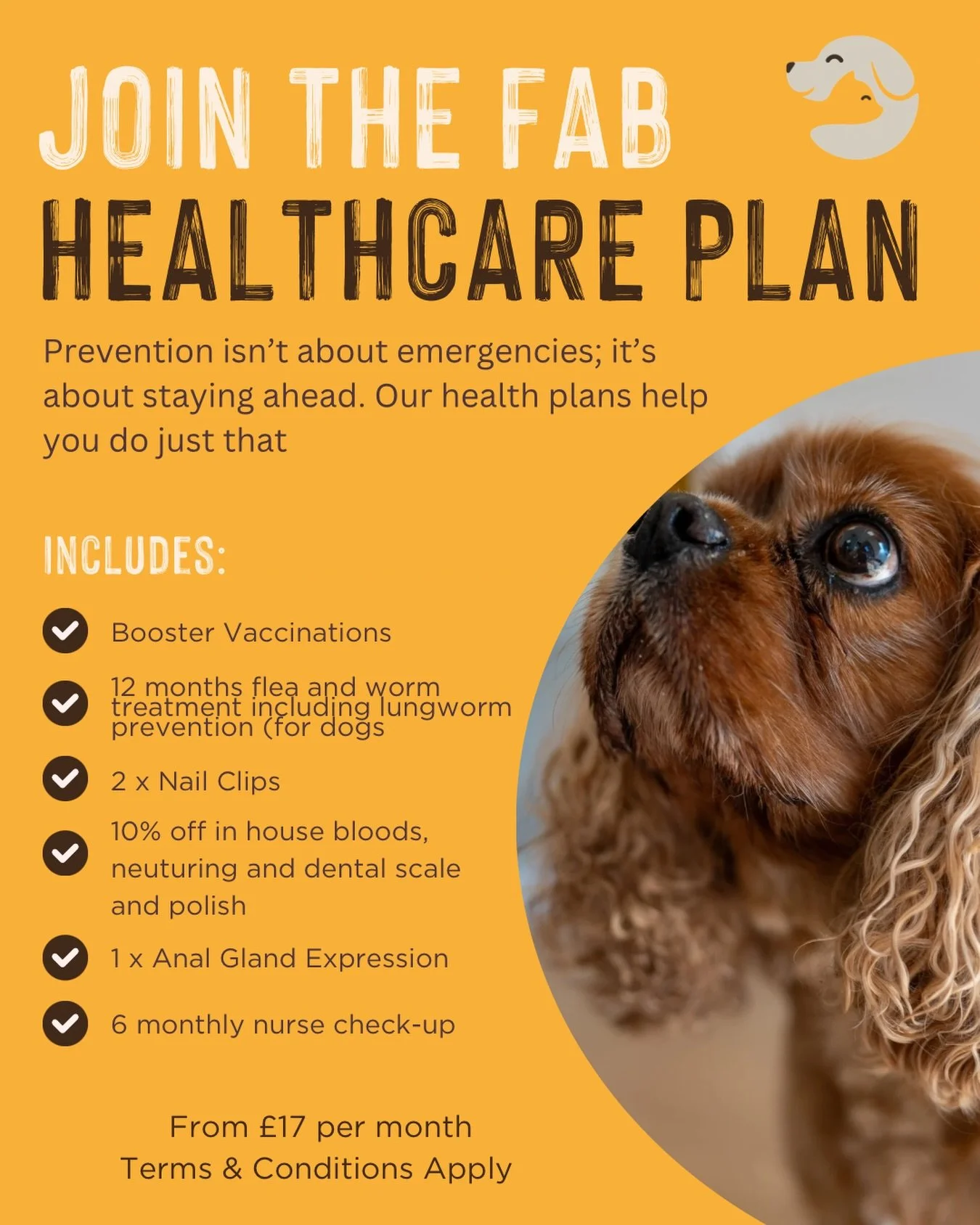Preventative care doesn&rsquo;t have to be complicated, or expensive.

Our FAB Healthcare Plan is a simple way to stay on top of your pet&rsquo;s routine healthcare, spreading the cost across the year with an easy monthly vet plan.

It covers all the