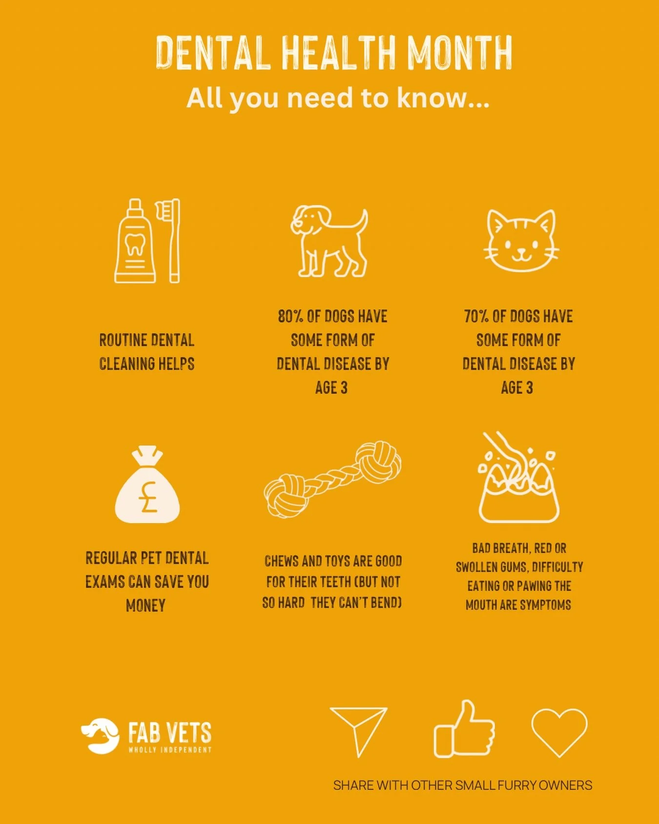 🦷 It&rsquo;s Pet Dental Health Month, and here&rsquo;s what most owners don&rsquo;t realise&hellip;

By the age of 3, around 80% of dogs and 70% of cats already show signs of dental disease.

The problem?
It&rsquo;s usually silent.

Bad breath isn&r