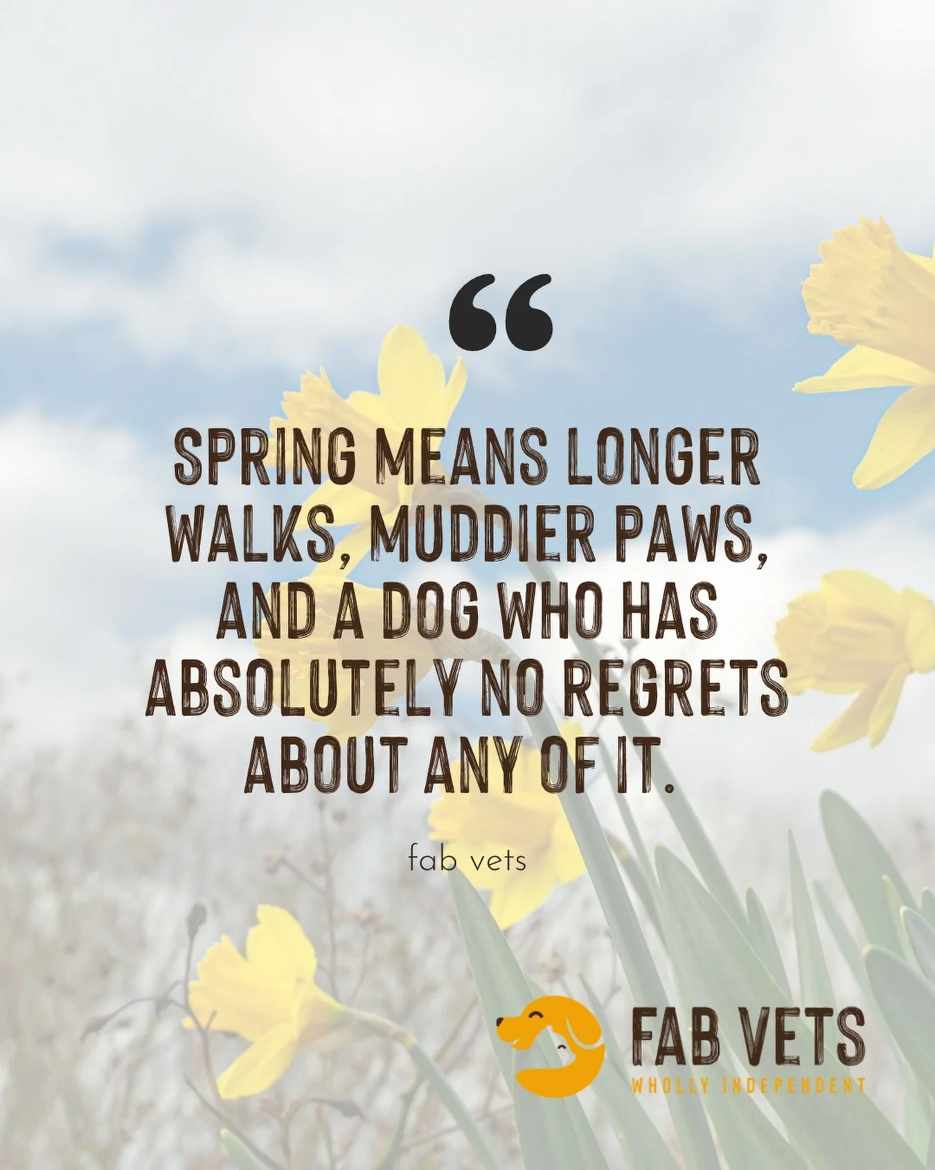 Spring is officially on its way and honestly, no one is more excited about it than our patients. 🌼

Longer evenings, muddy paws, and a dog who has absolutely no regrets about any of it.
Here&rsquo;s to the walks, the zoomies, and the absolute chaos 
