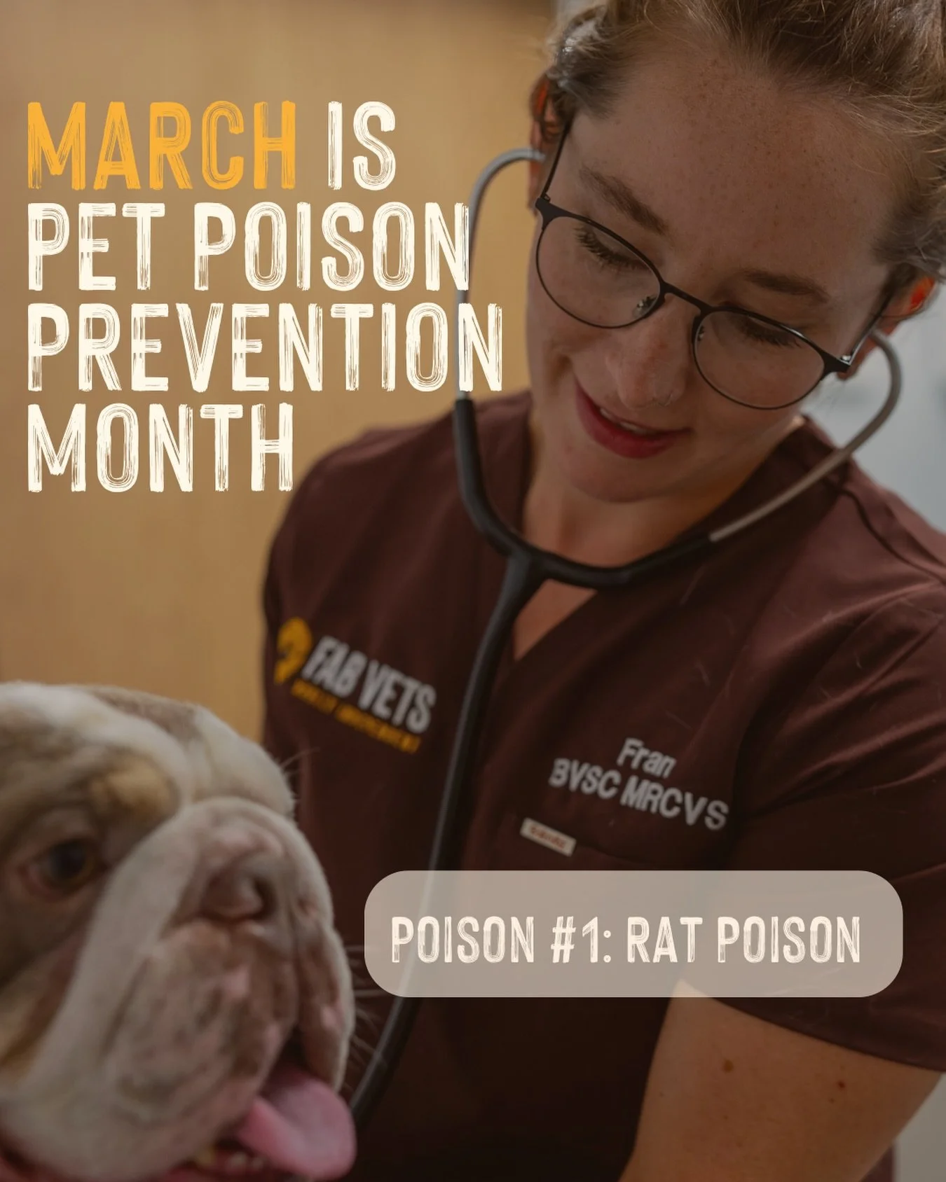 March is Pet Poison Protection Month and we&rsquo;re starting with one of the most dangerous, and most common, poisons we see pets come in with. 🐀

Rat poison (rodenticide) is widely used in gardens and public spaces, particularly in spring when rod