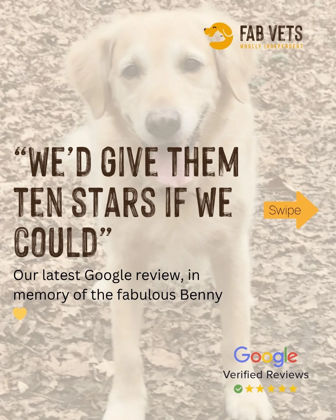 We don&rsquo;t take reviews lightly. 🐾

This one is from a family who came to us in one of the hardest moments a pet owner can face. They didn&rsquo;t know us. They rang because their usual vet couldn&rsquo;t fit them in. And they trusted us with Be