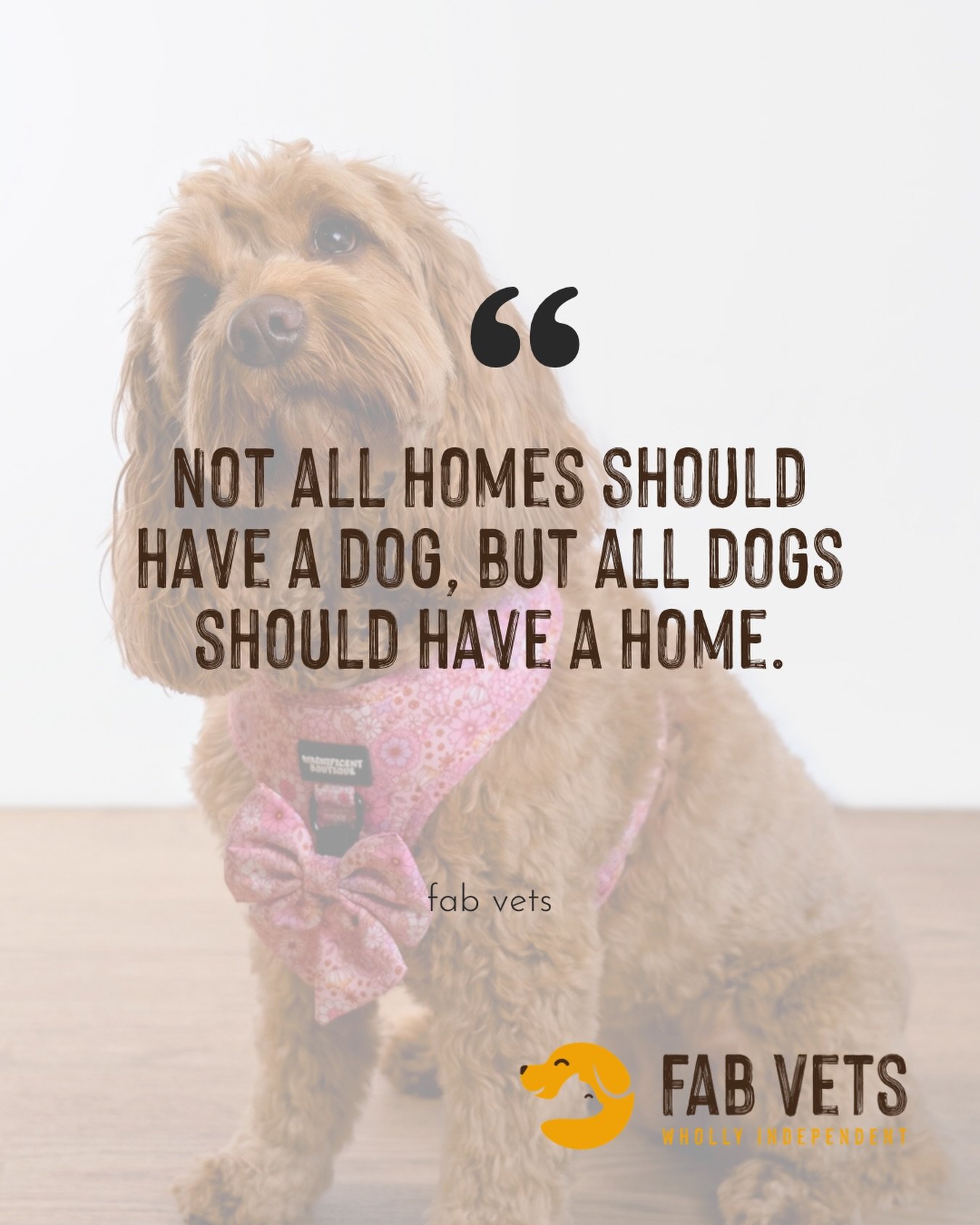 Today is National Little Pampered Dog Day. 🐾

And if you&rsquo;re the kind of person who cancels plans for your dog, buys them the good treats, lets them sleep on the bed, and refers to them as your baby, today is absolutely for you. 

We see you an