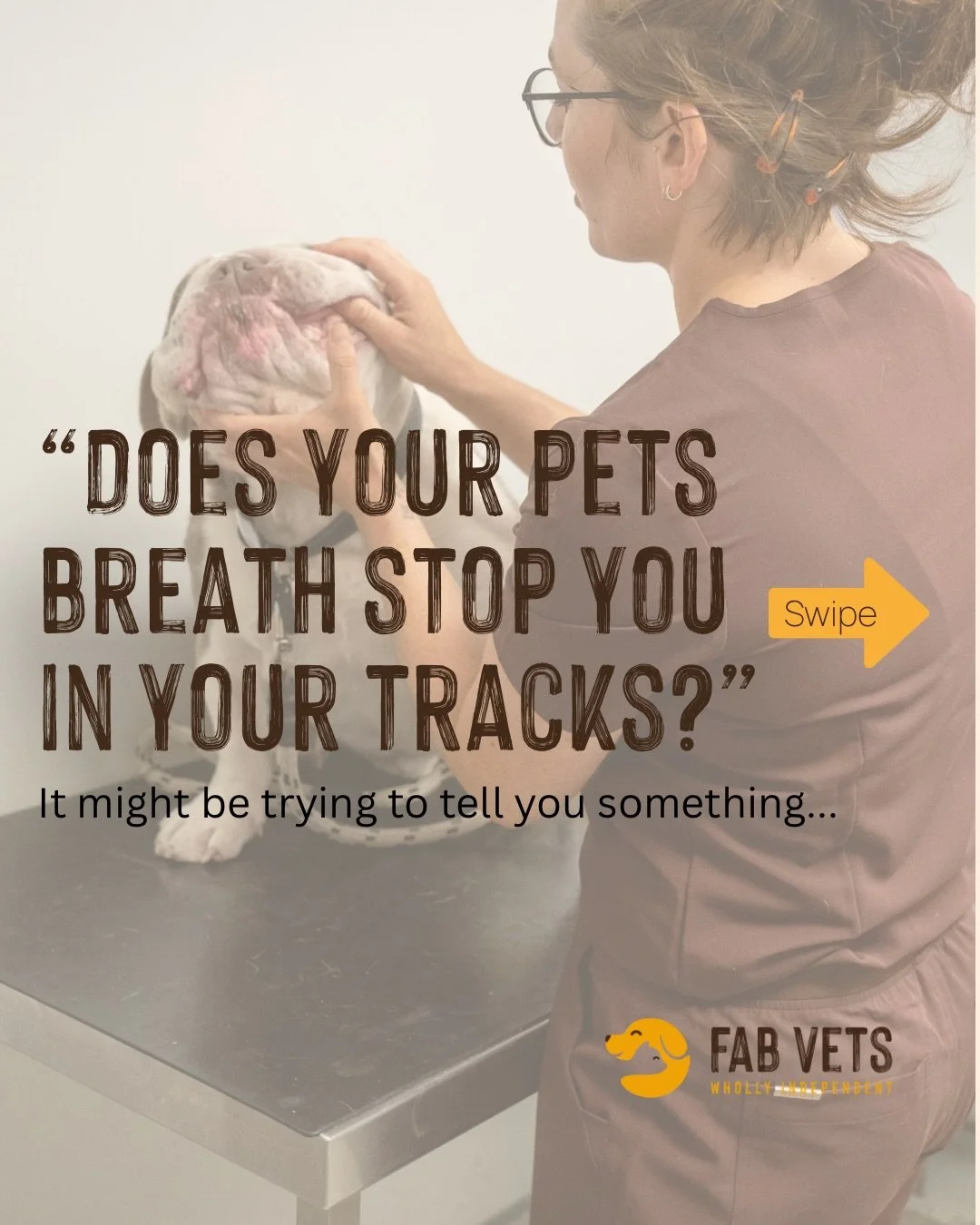 Your pet cannot tell you their mouth hurts. But the signs are there if you know what to look for. 

Bad breath, dropping food, pawing at the mouth, going off their meals, or just not being quite themselves.

Dental disease is the most common health p