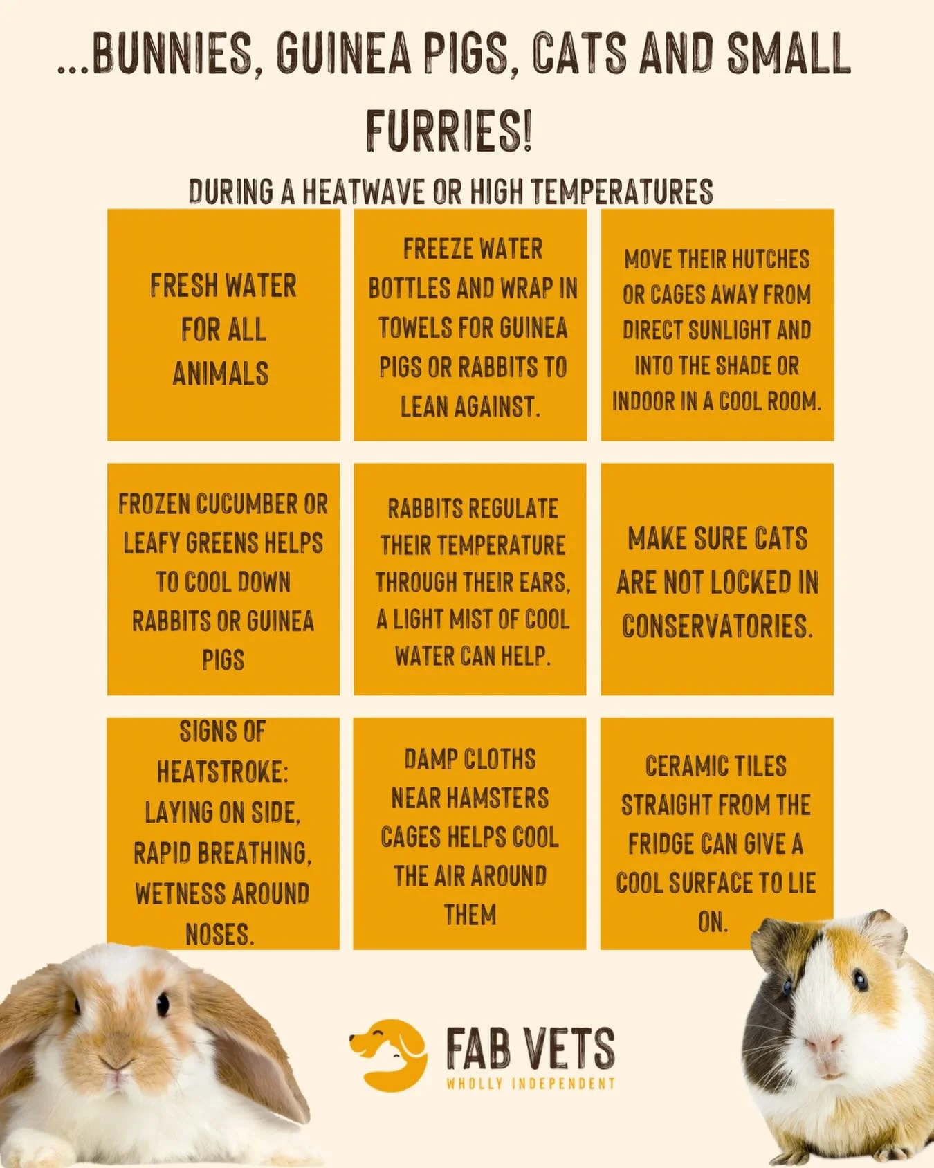 We haven&rsquo;t forgotten about the small ones. 🐾☀️

Cats, rabbits, guinea pigs and hamsters are just as vulnerable in a heatwave, and far less likely to show you they&rsquo;re struggling until it&rsquo;s already serious.

The ones we worry about m