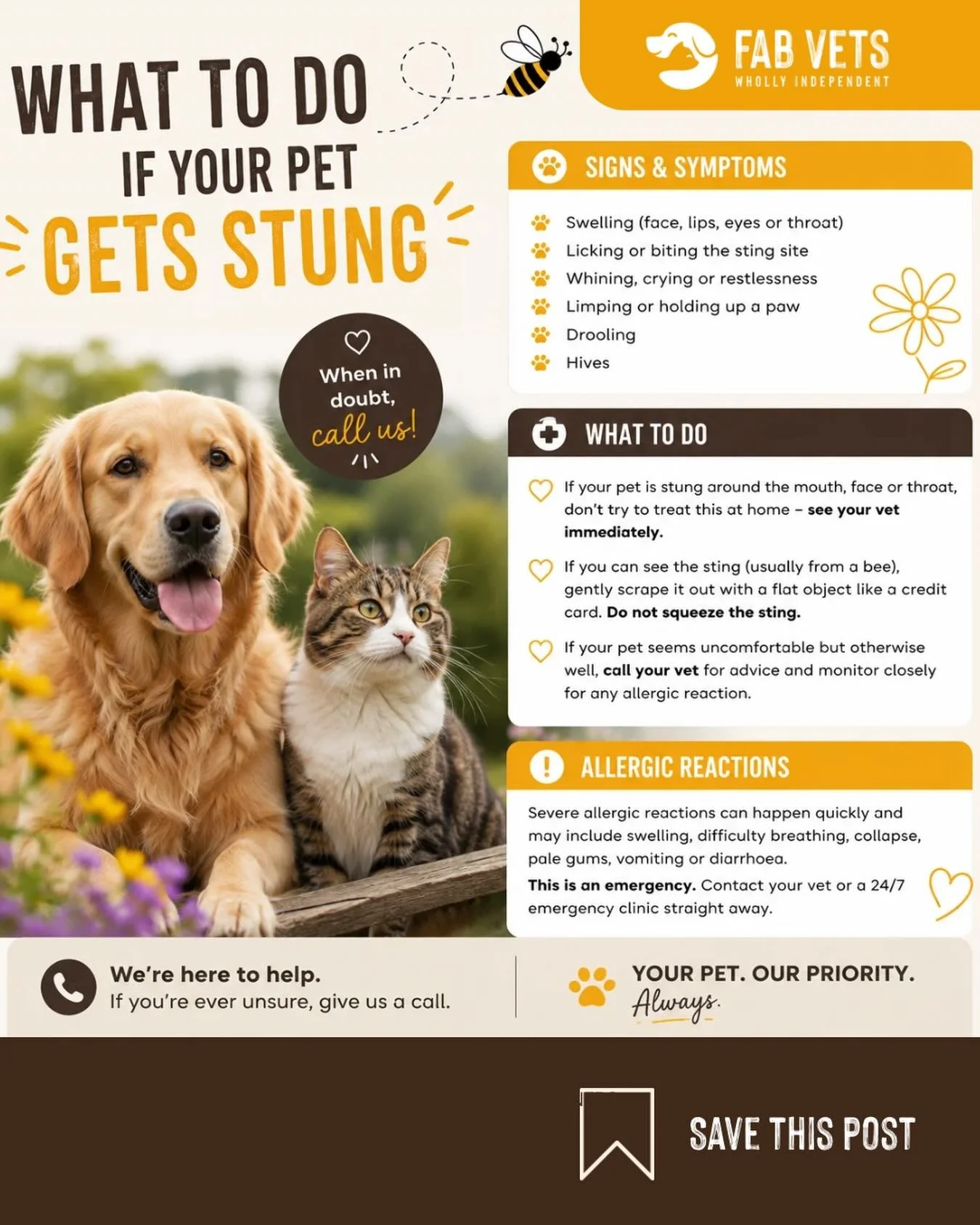 Summer means longer walks, garden time and windows open. It also means bees and wasps, and a very curious dog who has absolutely no concept of consequences. 🐝🐾

Most stings are uncomfortable but manageable. Some are not. And the tricky thing is you