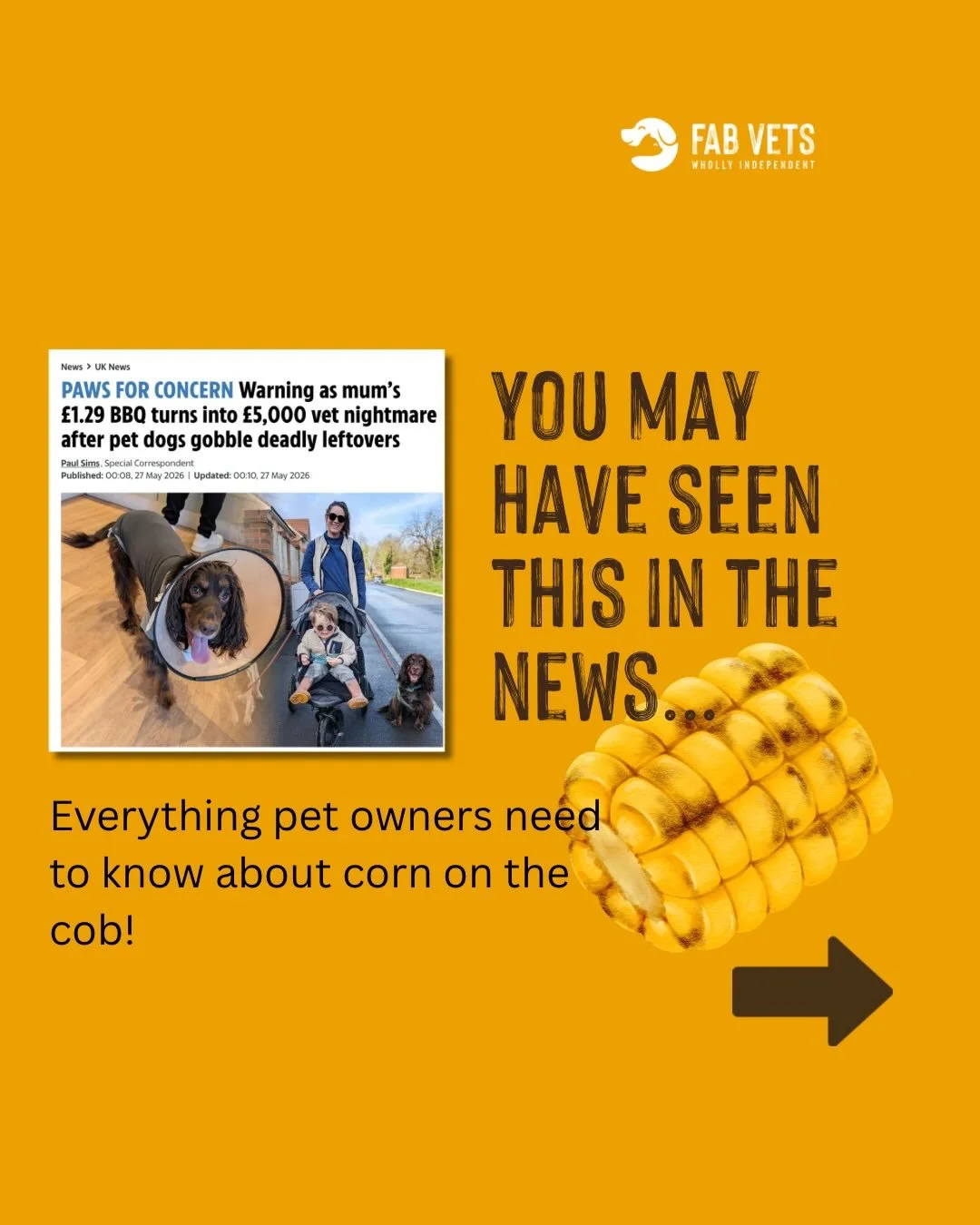 You may have seen this story in the news this week. 🐾

A &pound;1.29 corn on the cob from a BBQ turned into a &pound;5,000 vet bill. And sadly it is not as unusual as you might think.

Corn on the cob is one of the most common surgical emergencies w