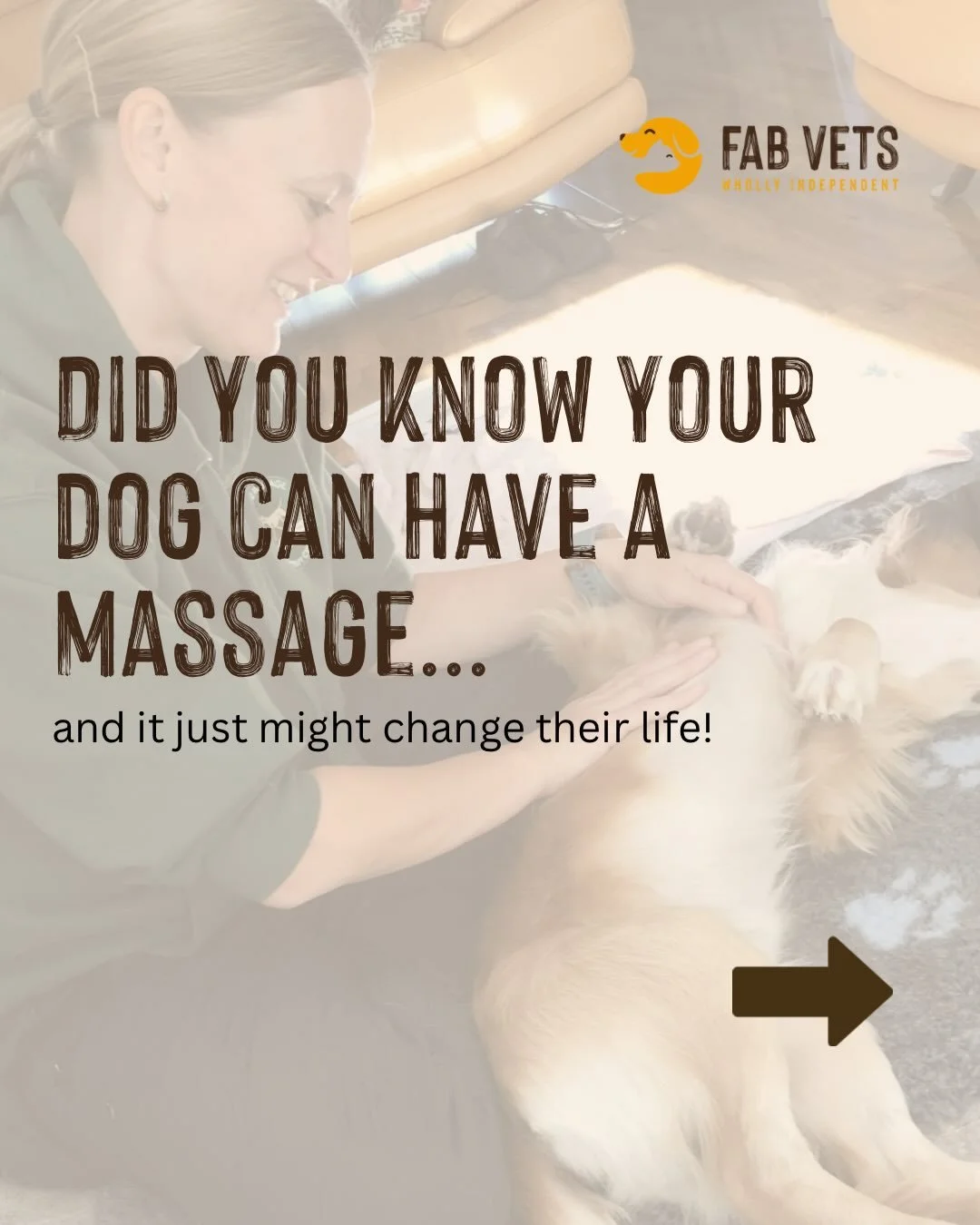 We had a brilliant talk last week from the team at @clinicalcaninemassageco and we genuinely learned a lot.

Clinical canine massage is not a pamper treatment. It is a regulated, evidence-based therapy used to treat muscular injuries, manage chronic 