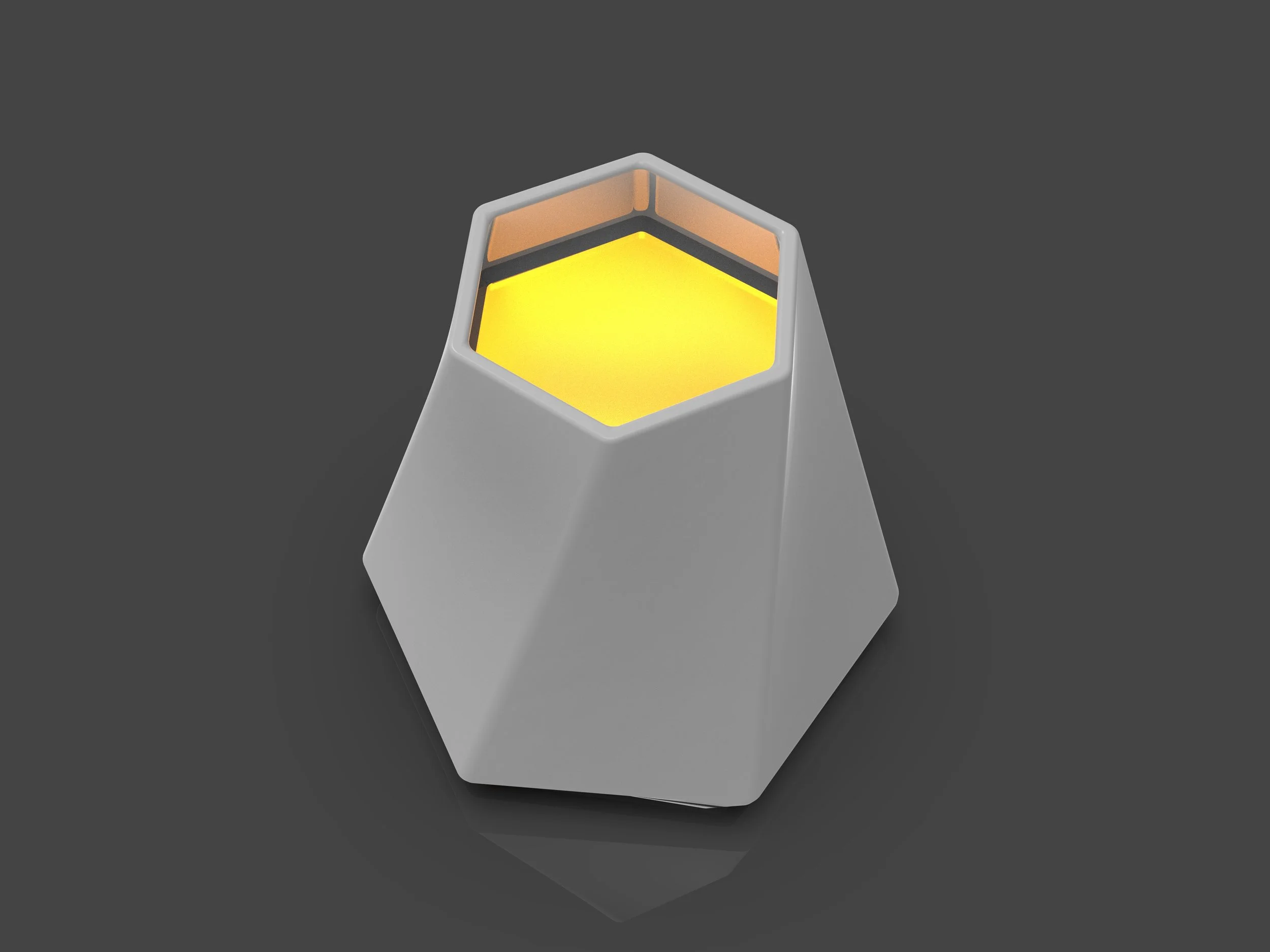 top down Render.jpg