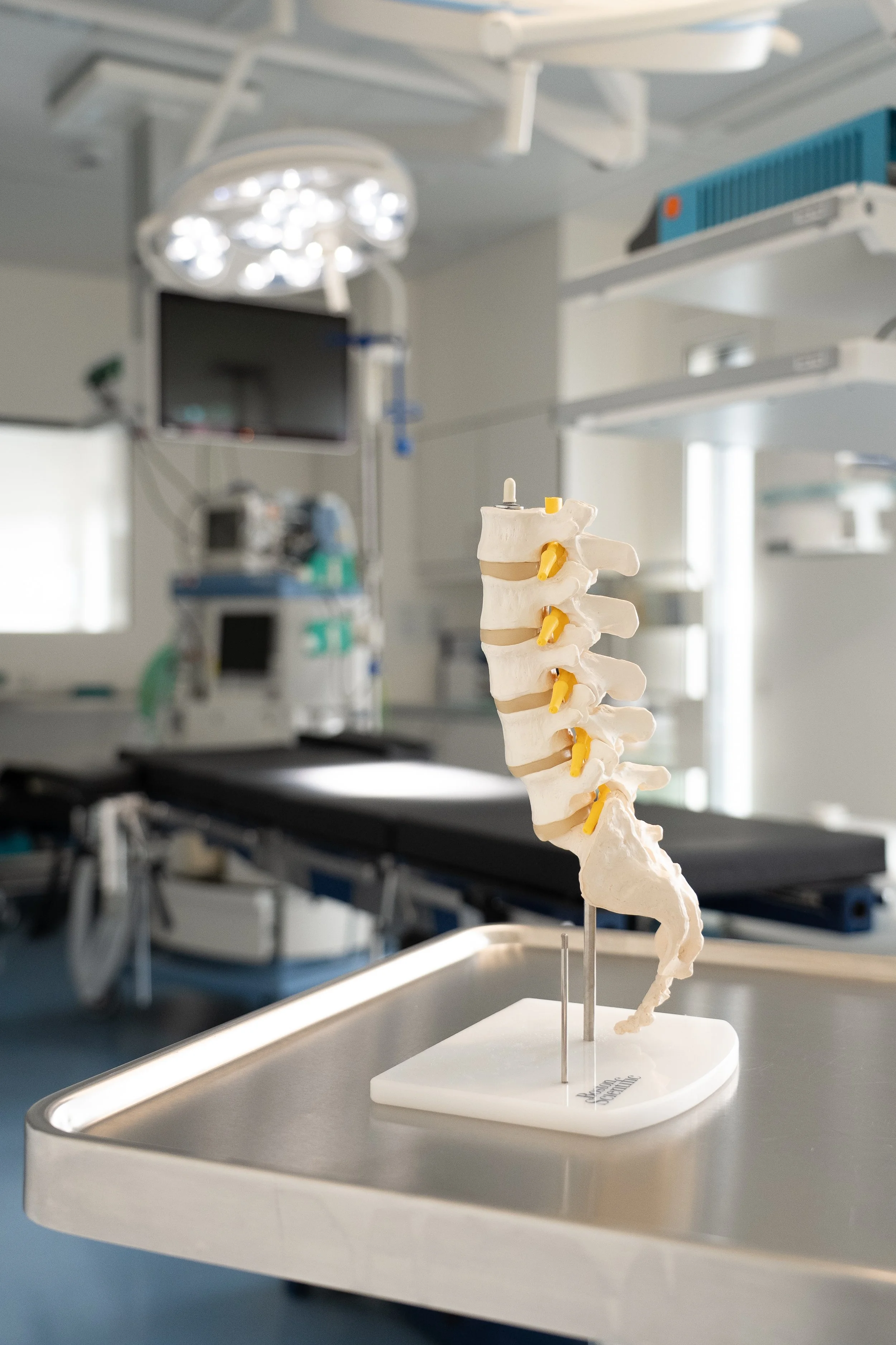 Modell einer menschlichen Wirbelsäule auf einem Operationstisch in der Schmerzklinik Berlin