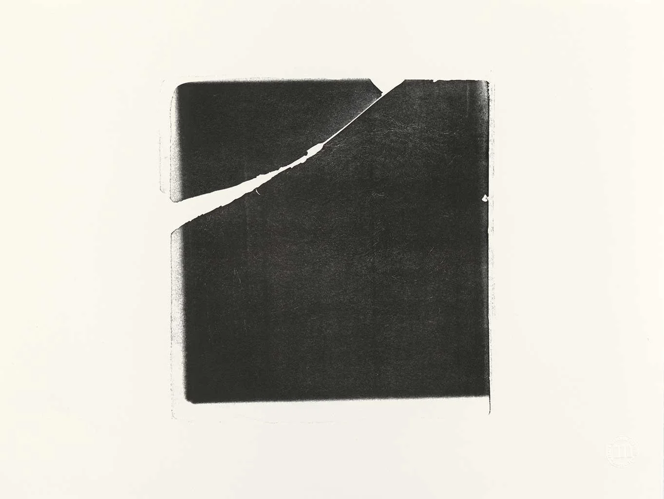 25" x 37.75" & 19" x 25" 2014 | lithographic prints
