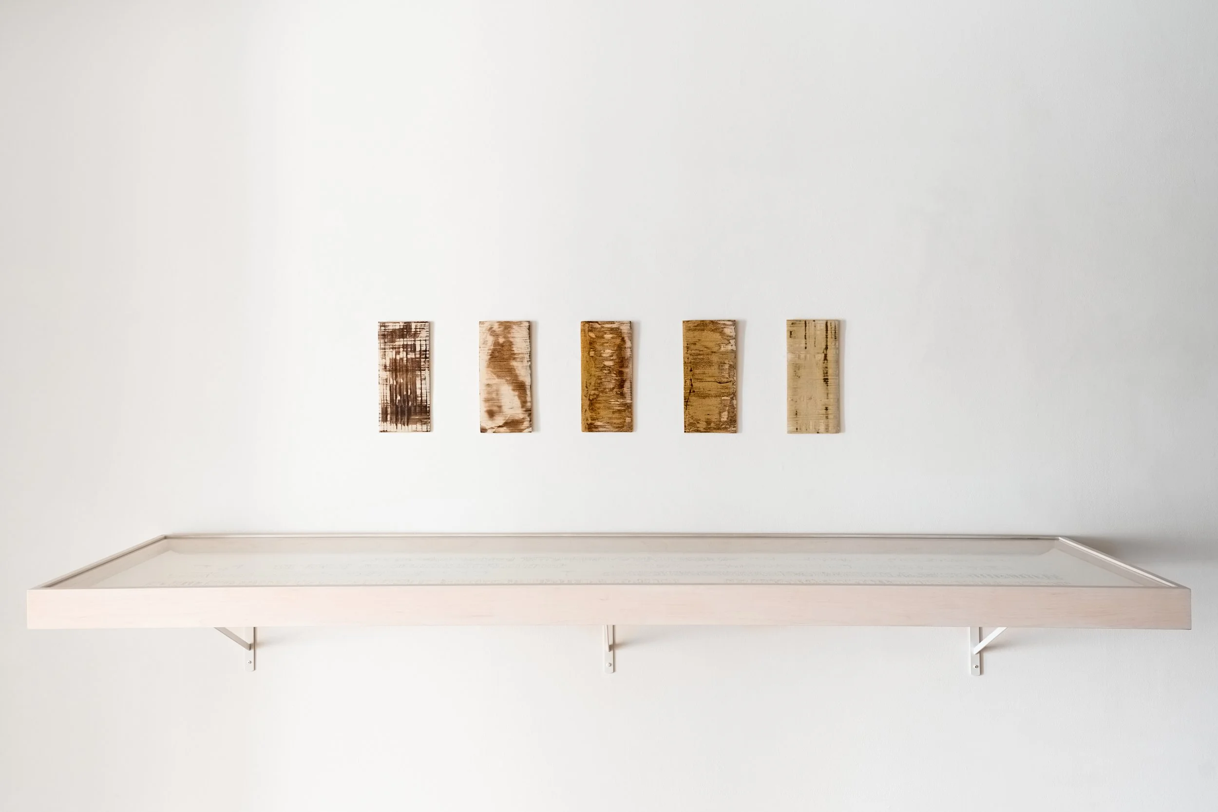 11_Leah Raintree_Legible Earth_Install_Reynolds Gallery_2025.jpg