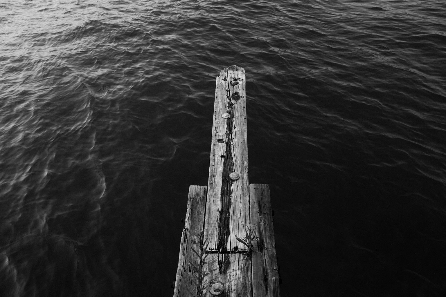 2014 | photographs