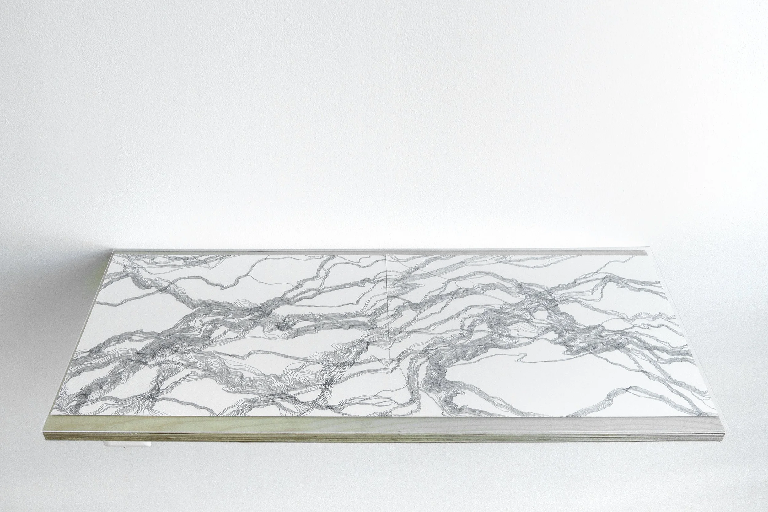 A close up view of multimedia artist Leah Raintree's works featuring two 2-d grayscale pieces displayed flat on a wooden shelf.