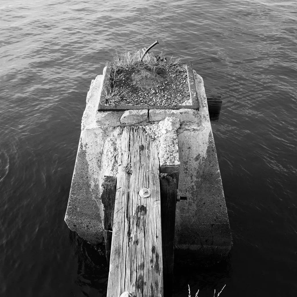 Pier 54, 68 Piles at Sunset