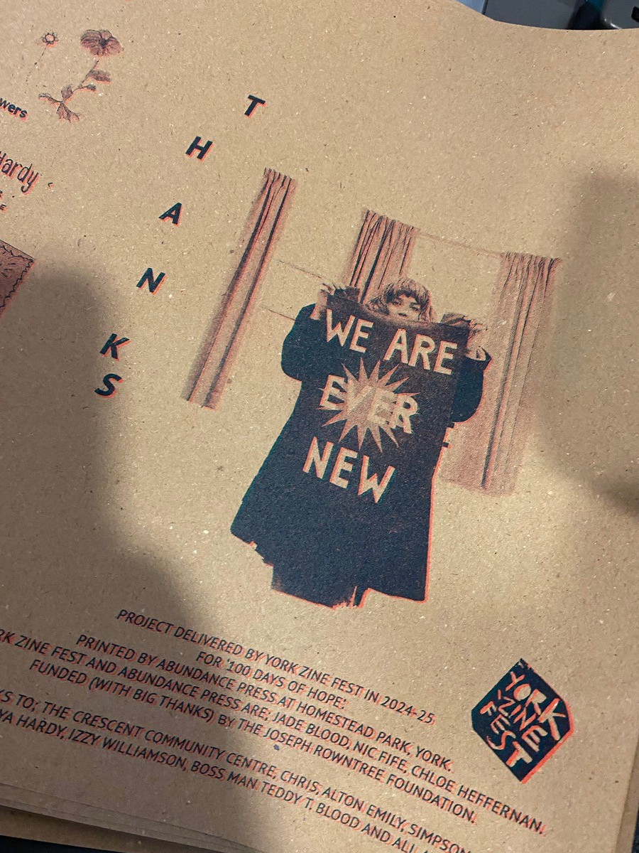 York Zine Fest at Homestead Park