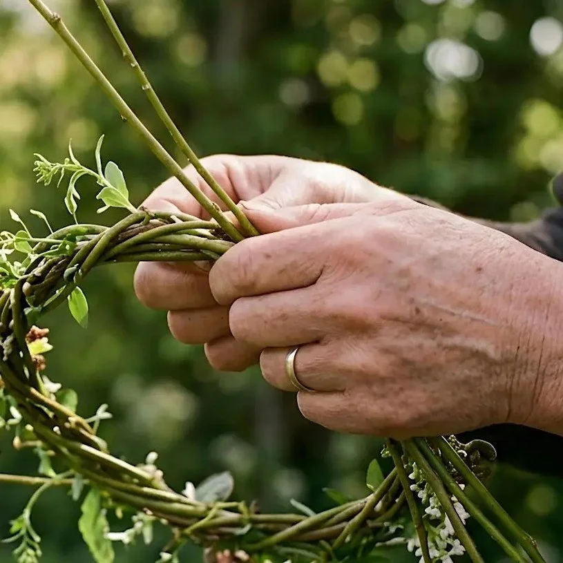 The rivers and us: Willow Weaving and Words Workshop