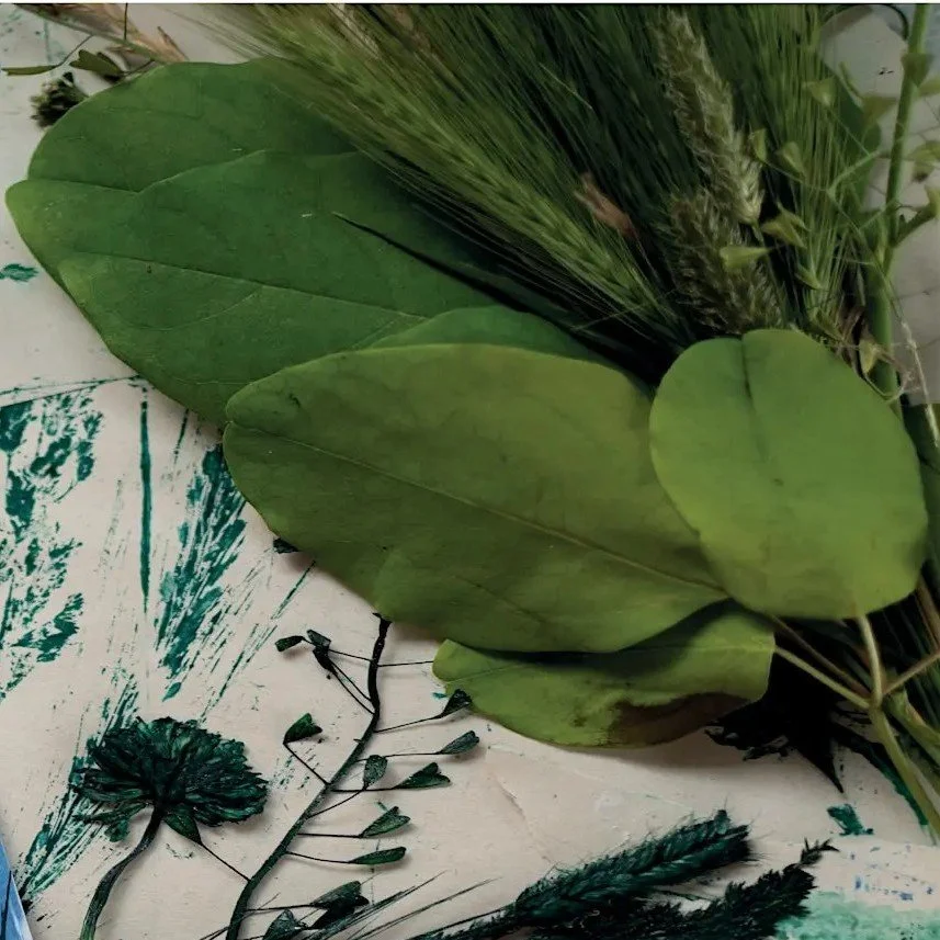 The rivers and us: Tremendous Trees and Precious Plants Printmaking