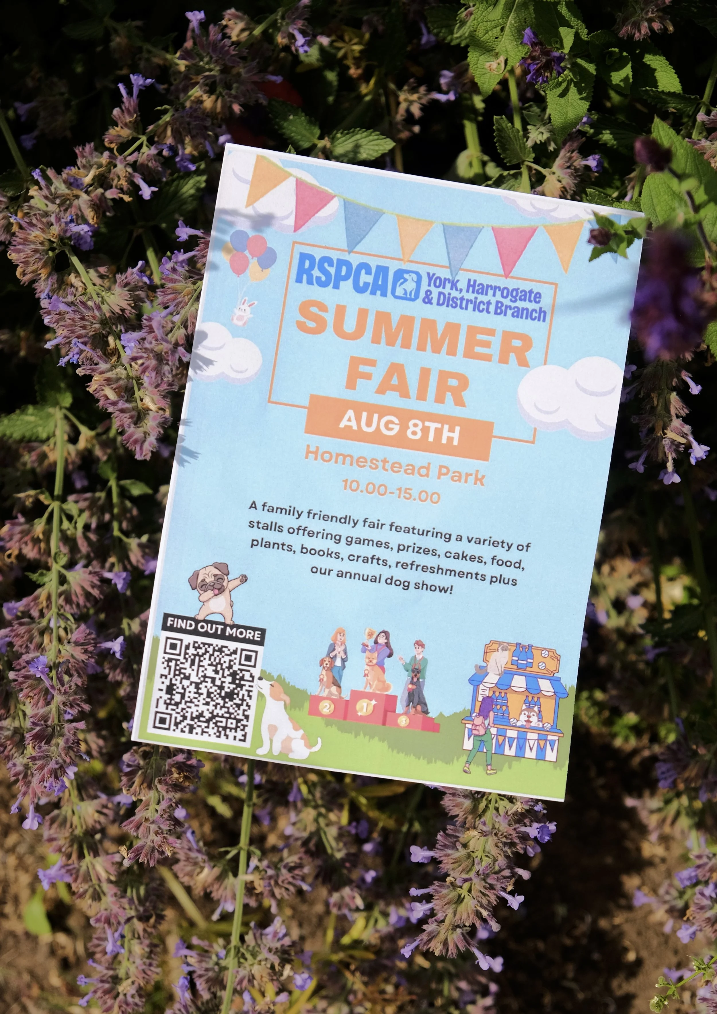 RSPCA Summer Fair
